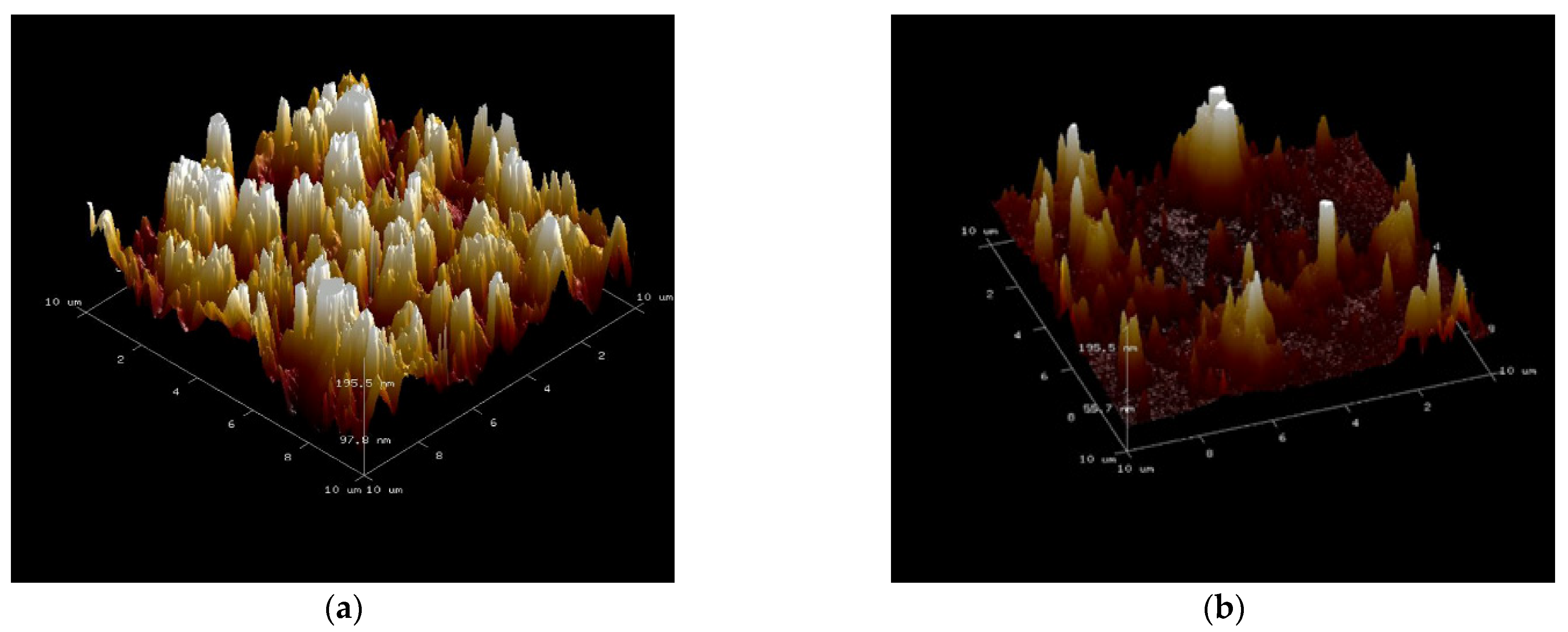 Coatings 13 00887 g004
