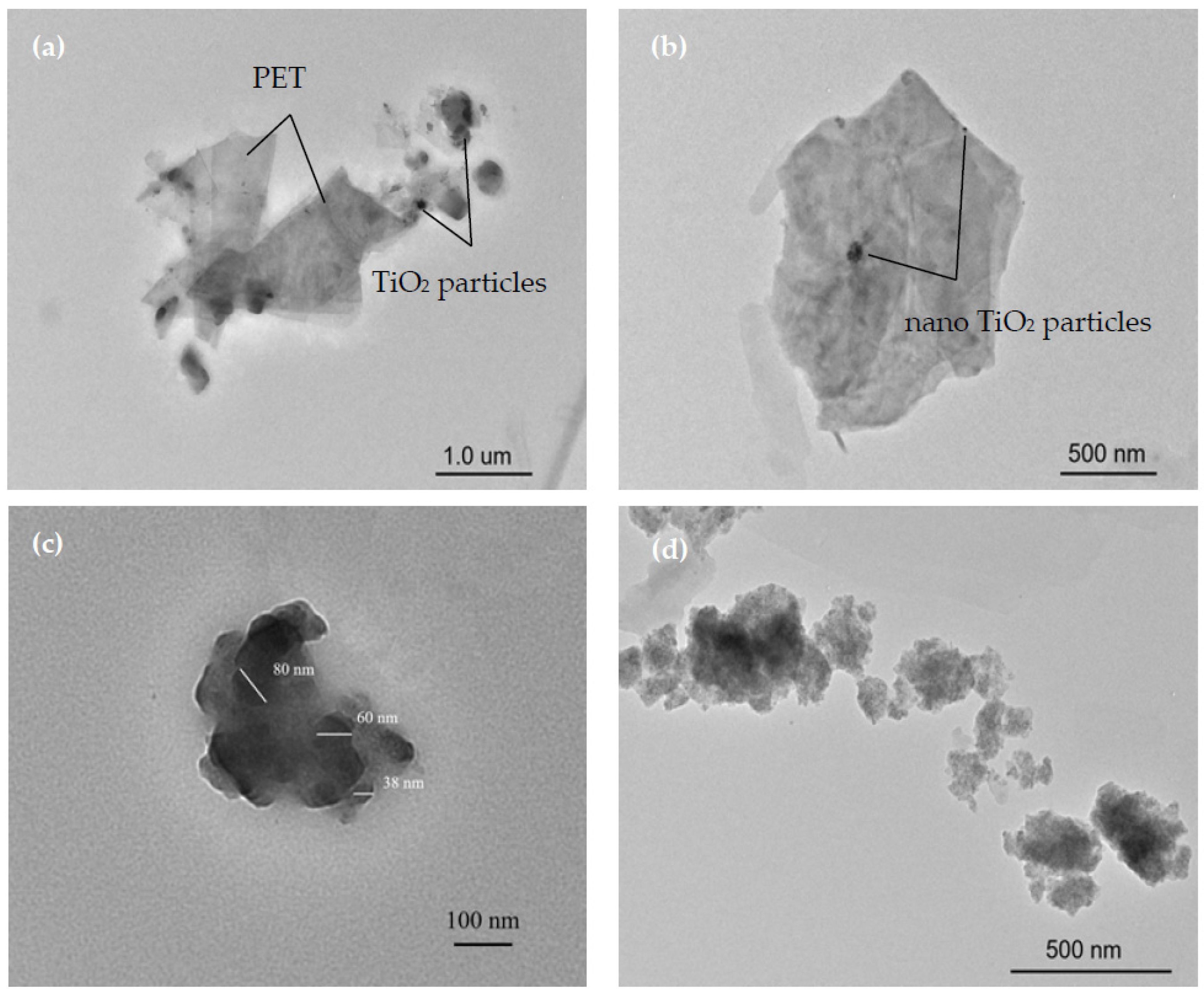 Coatings 13 00887 g006