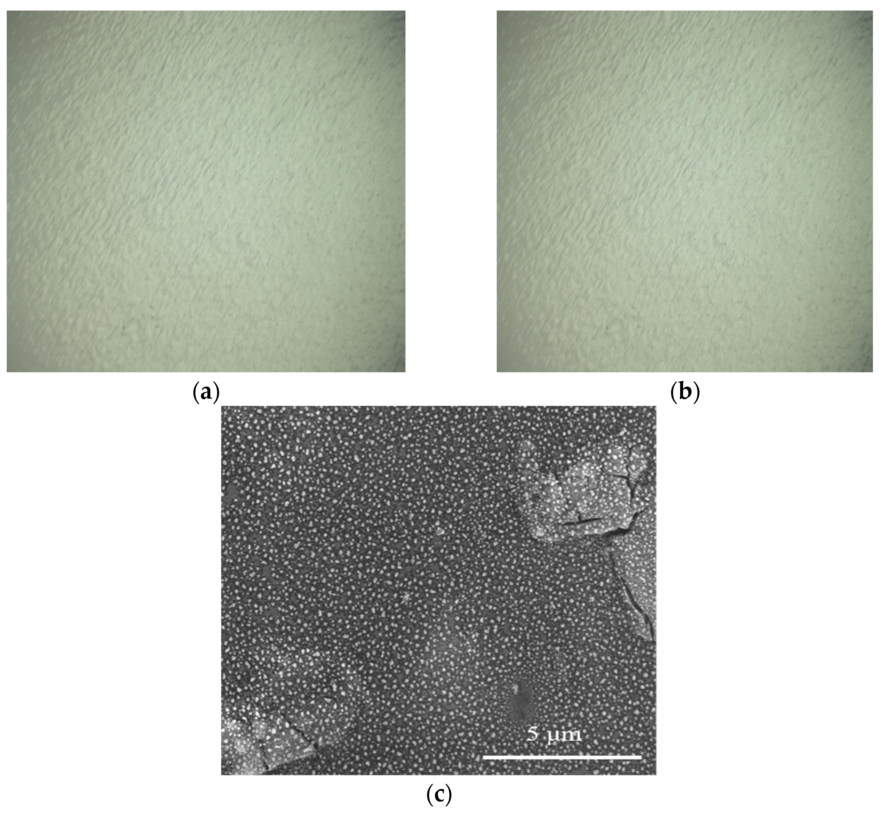 Coatings 13 00887 g011