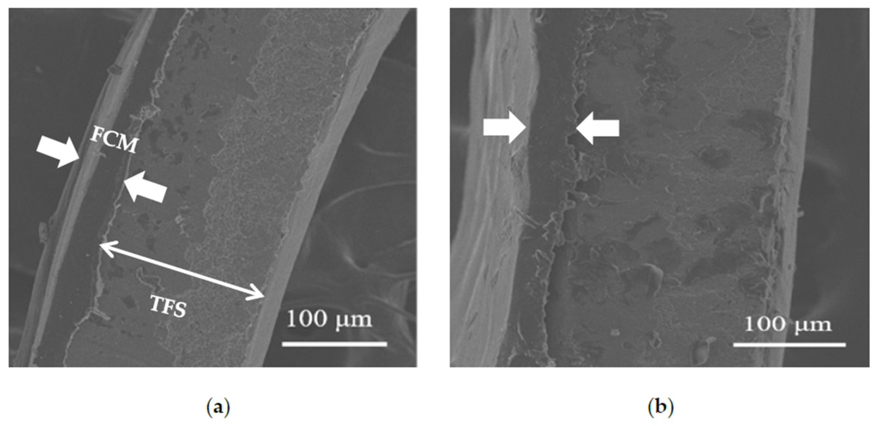 Coatings 13 00887 g013