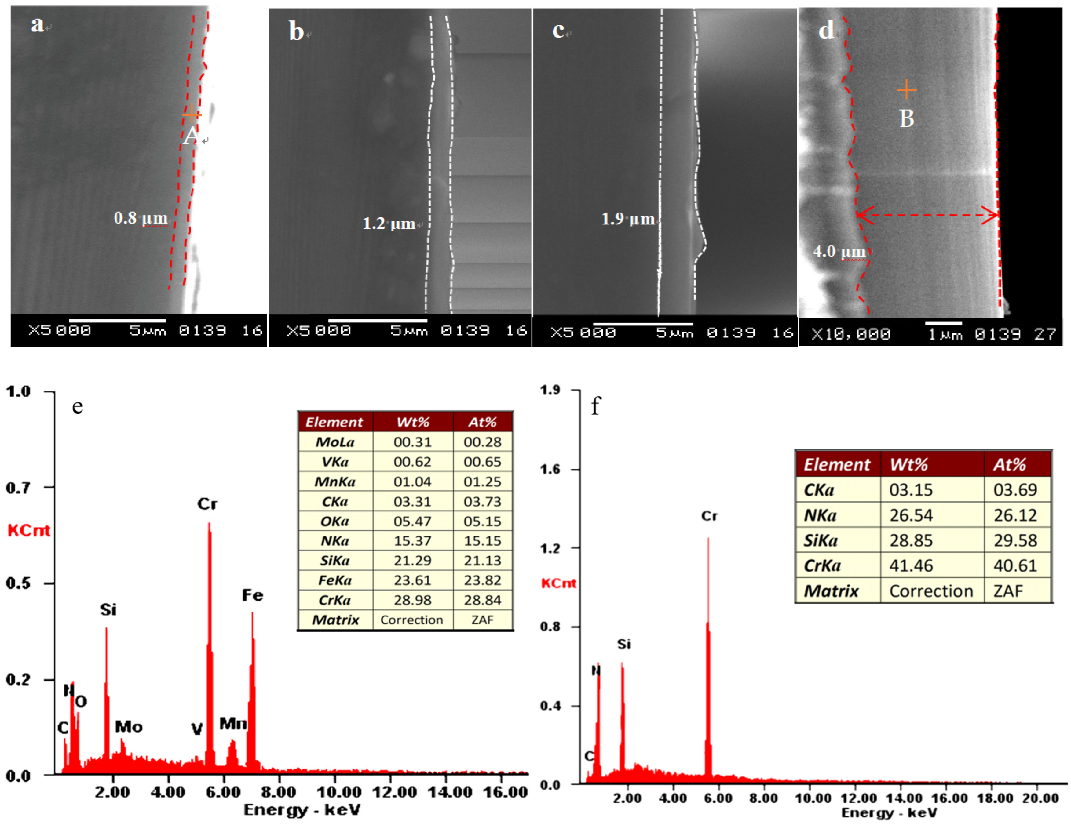 Coatings 13 00889 g001
