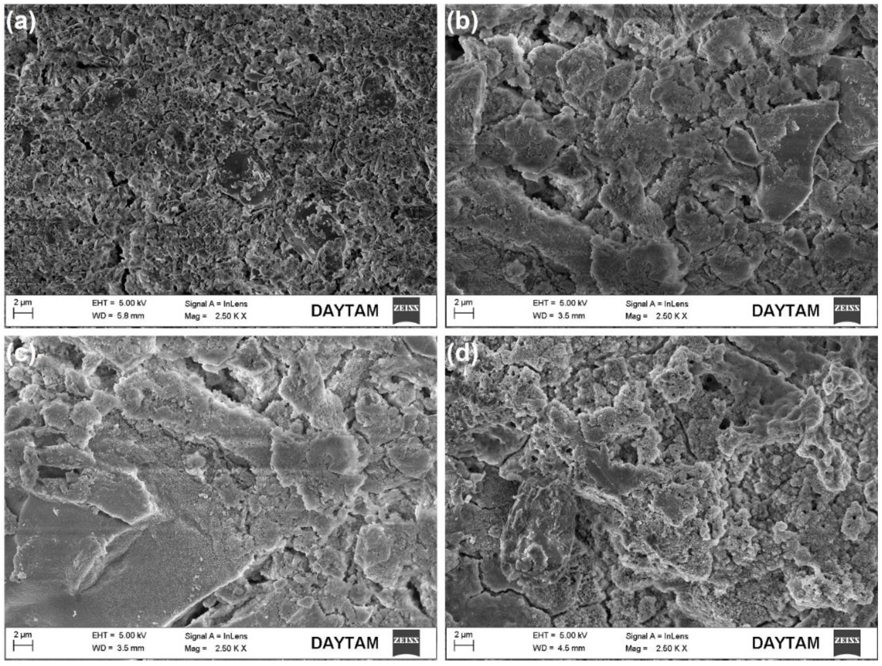 Coatings 13 00890 g004