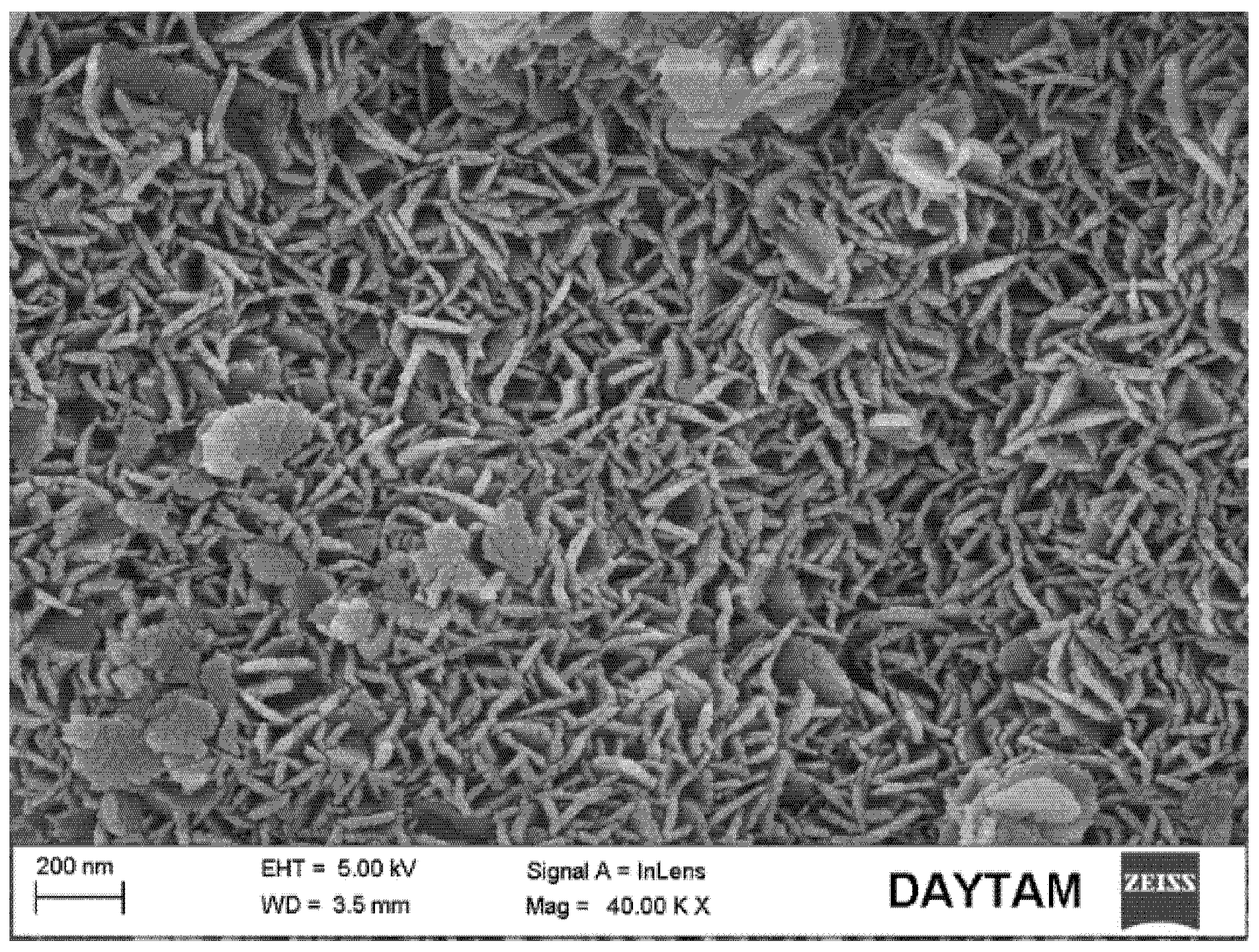 Coatings 13 00890 g007