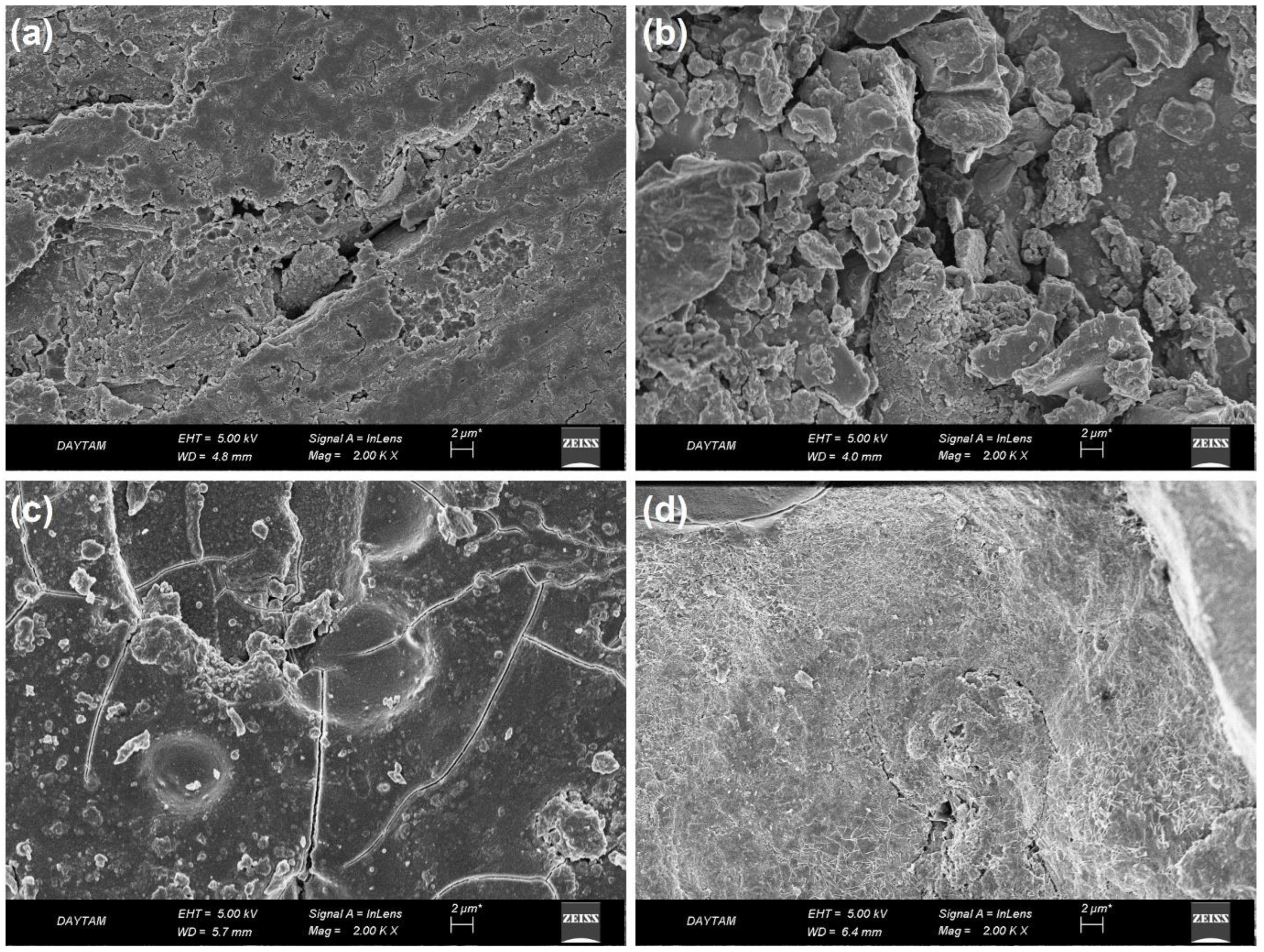 Coatings 13 00890 g012