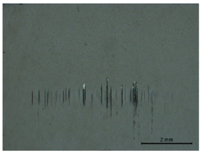Coatings 13 00891 i001