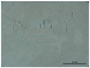 Coatings 13 00891 i002