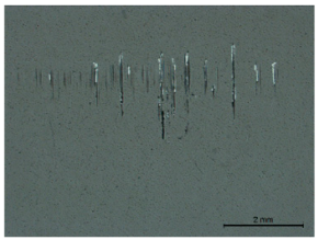 Coatings 13 00891 i003