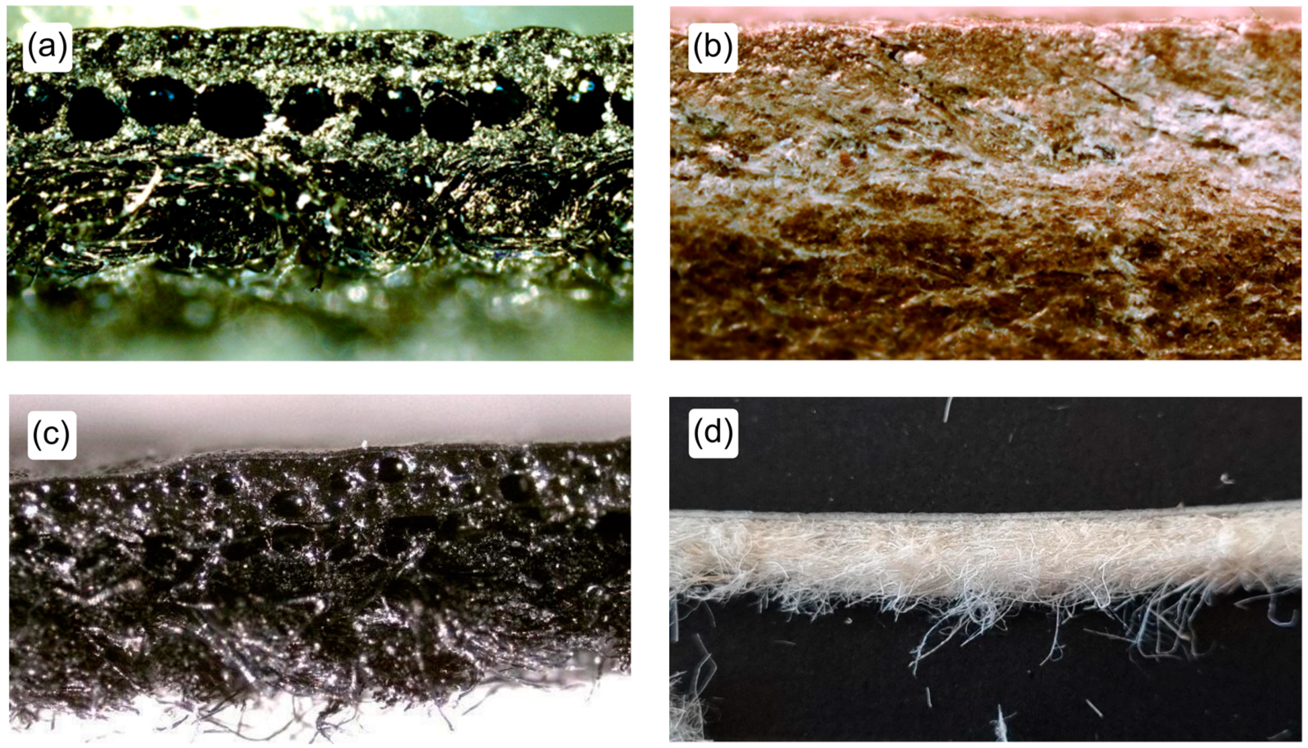 Coatings 13 00892 g002