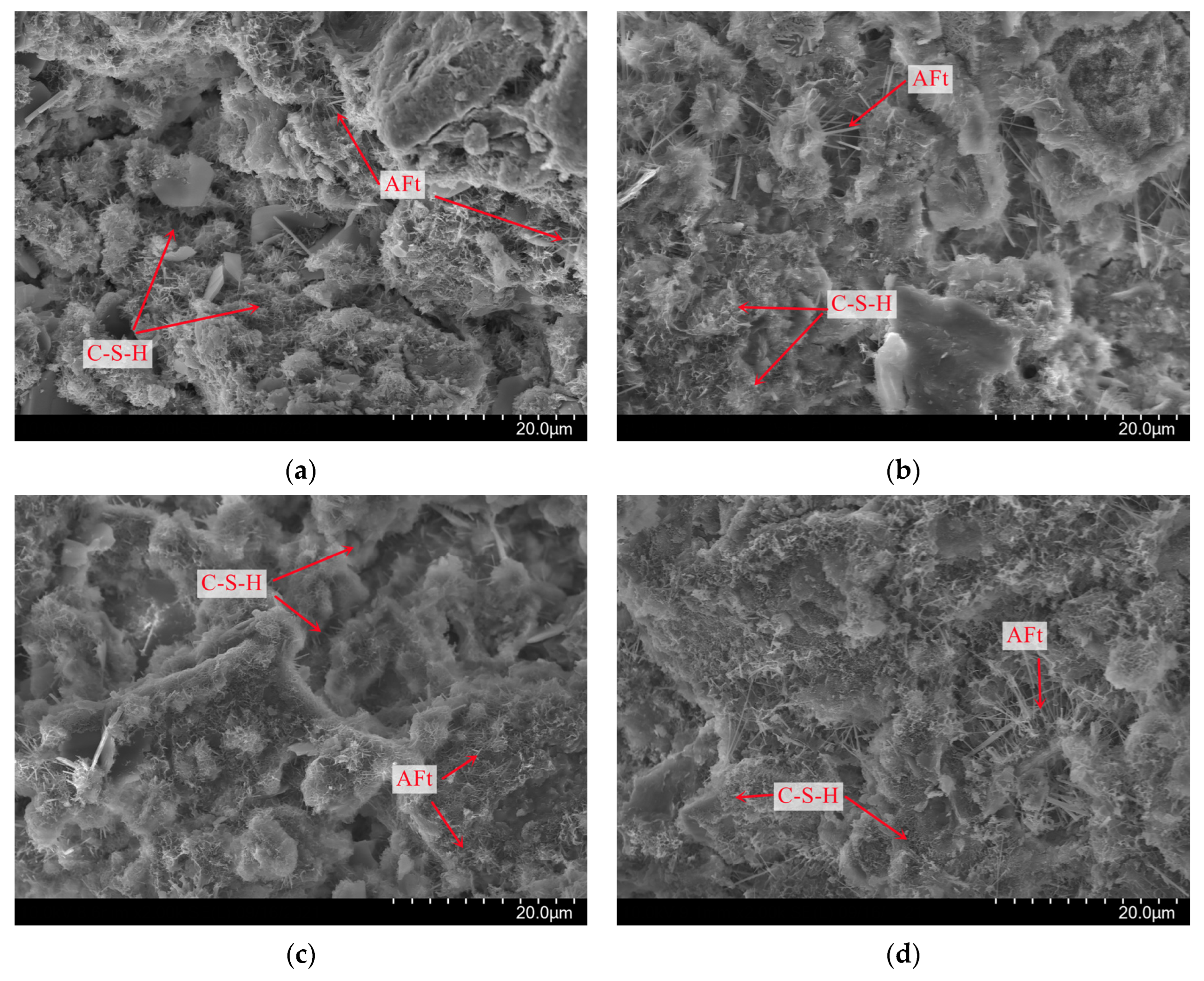 Coatings 13 00893 g008