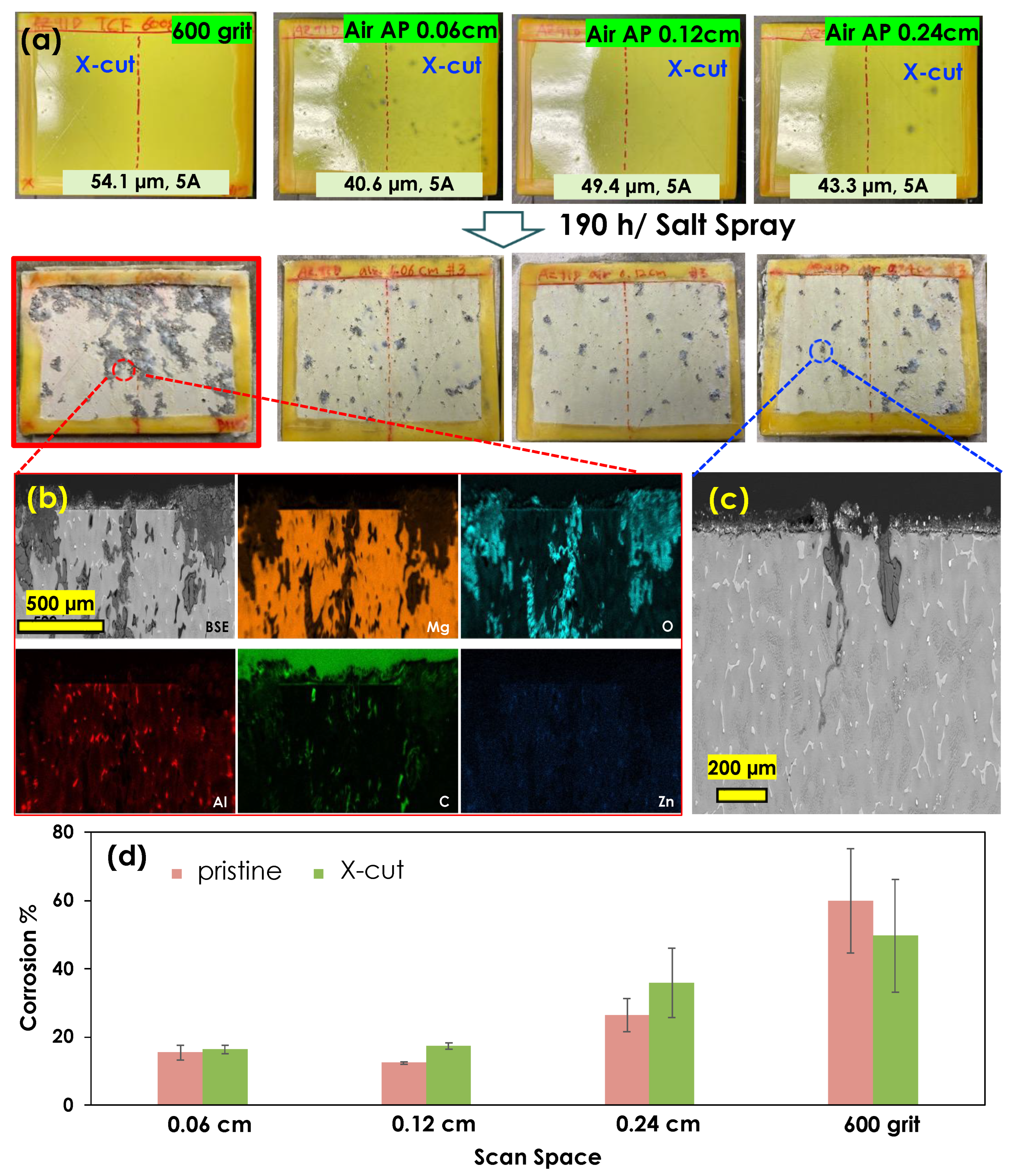 Coatings 13 00897 g009