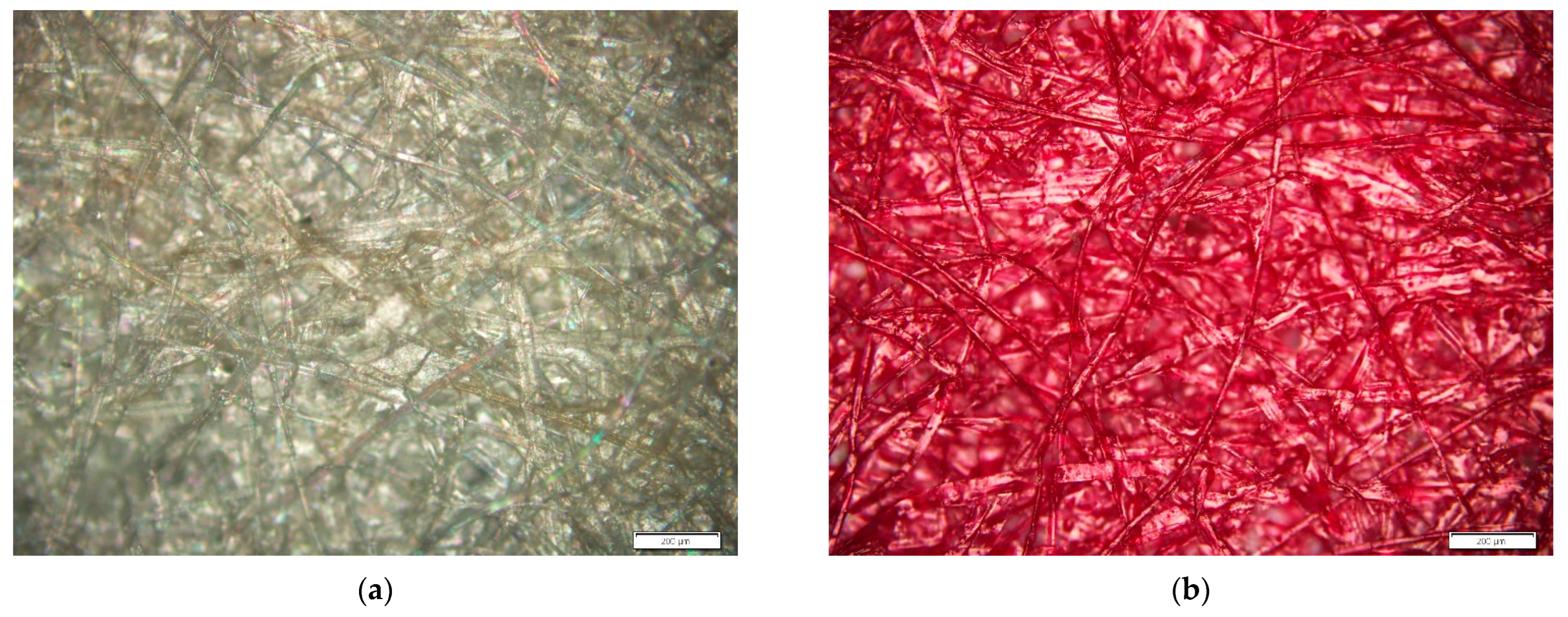 Coatings 13 00899 g001