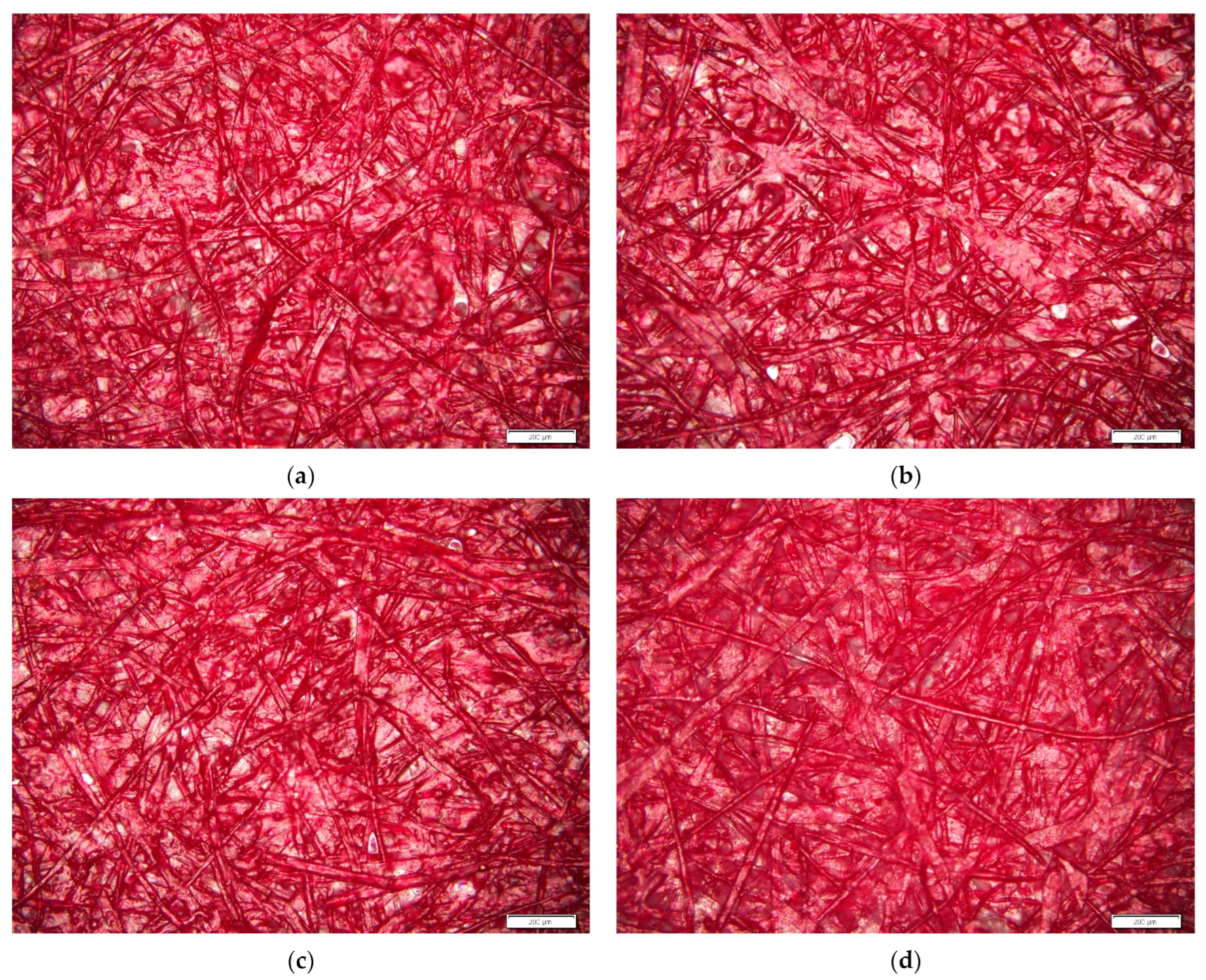Coatings 13 00899 g002