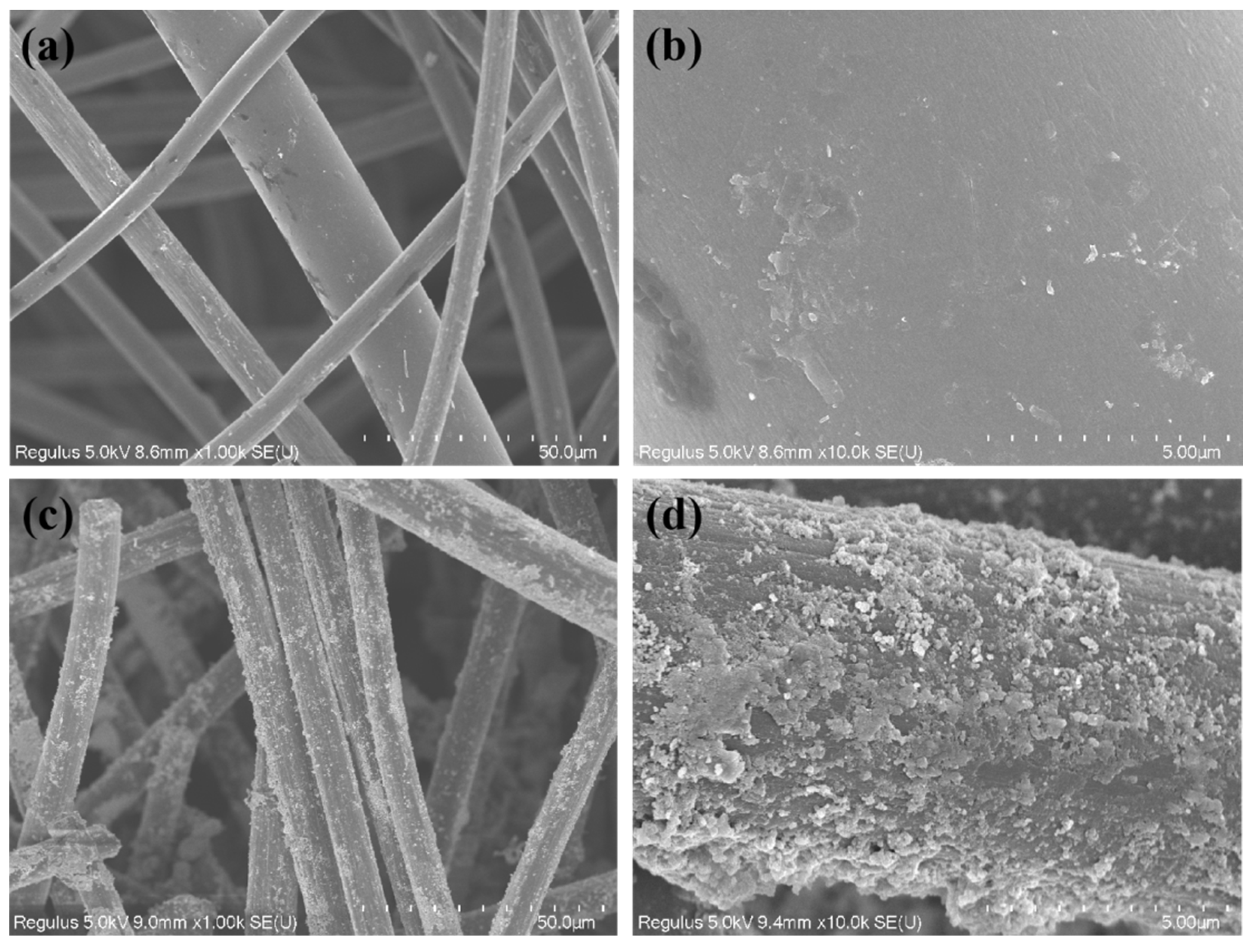 Coatings 13 00901 g001