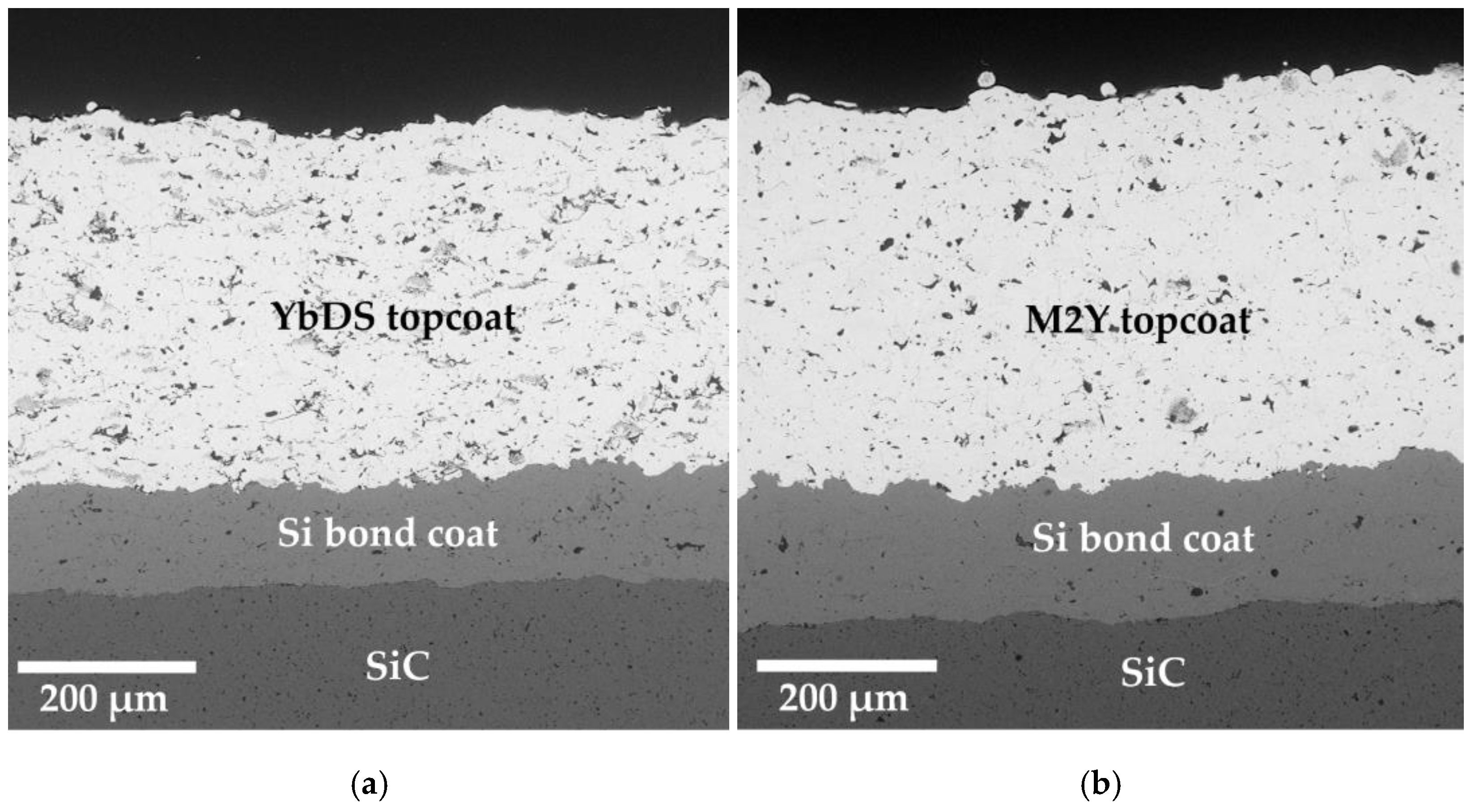 Coatings 13 00902 g001