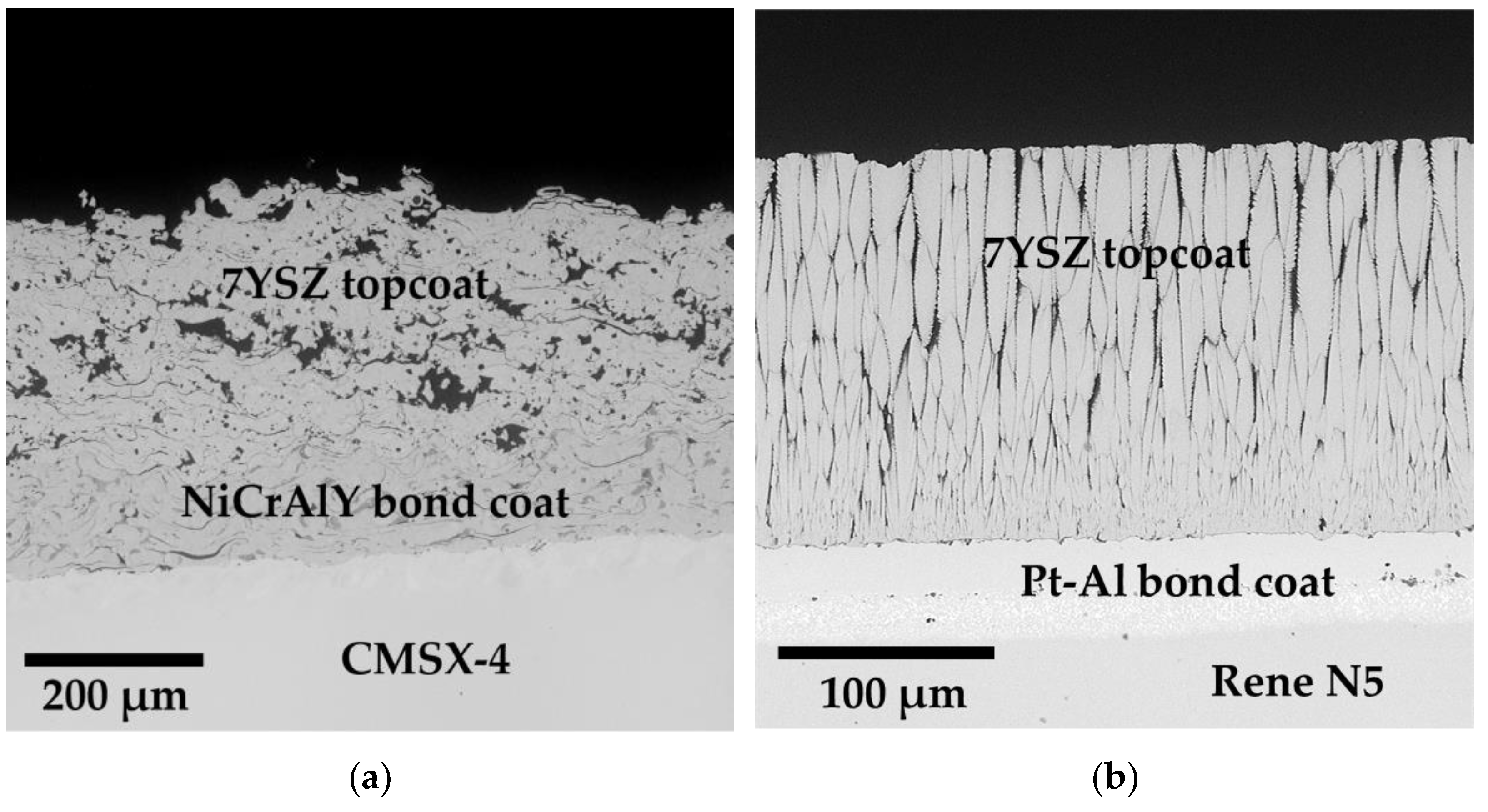 Coatings 13 00902 g002