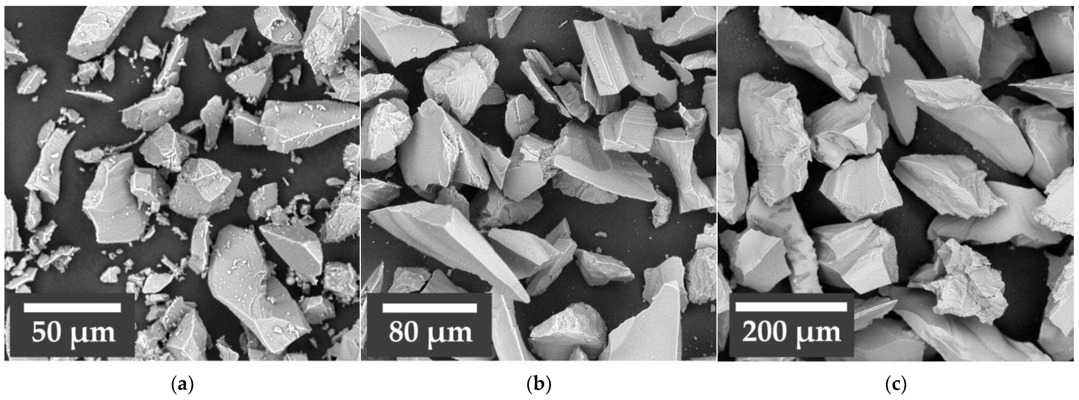 Coatings 13 00902 g004