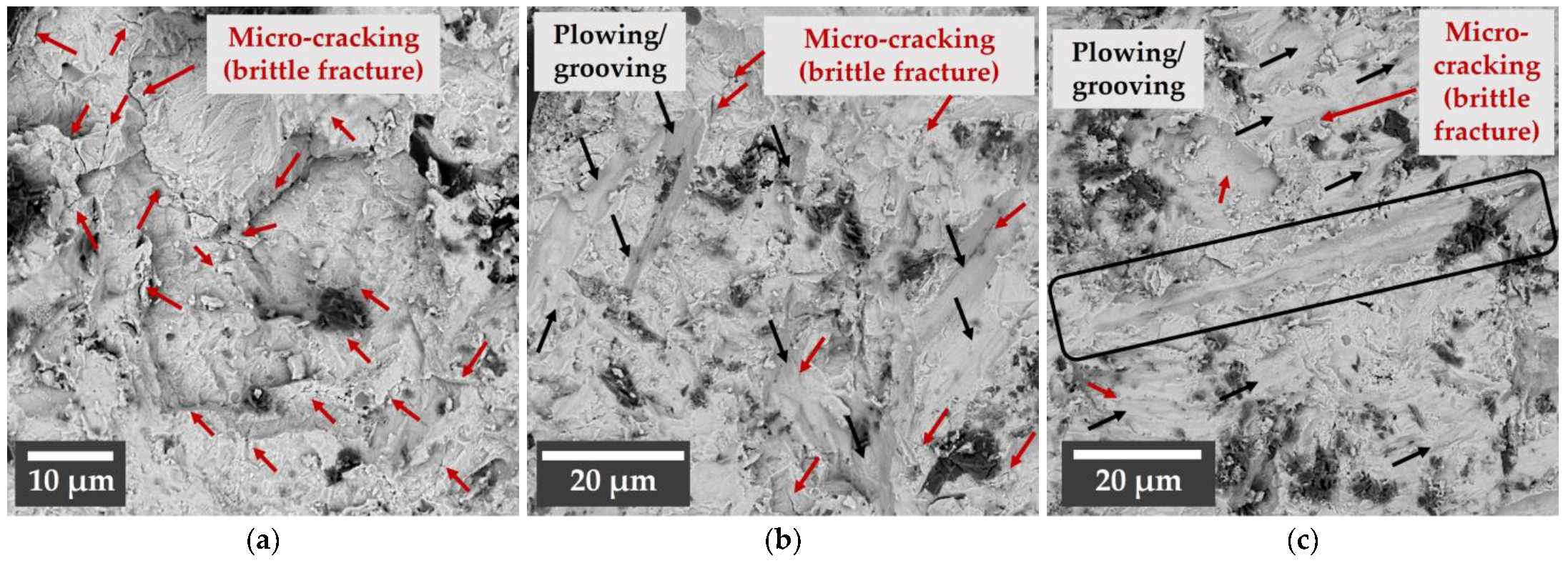 Coatings 13 00902 g011