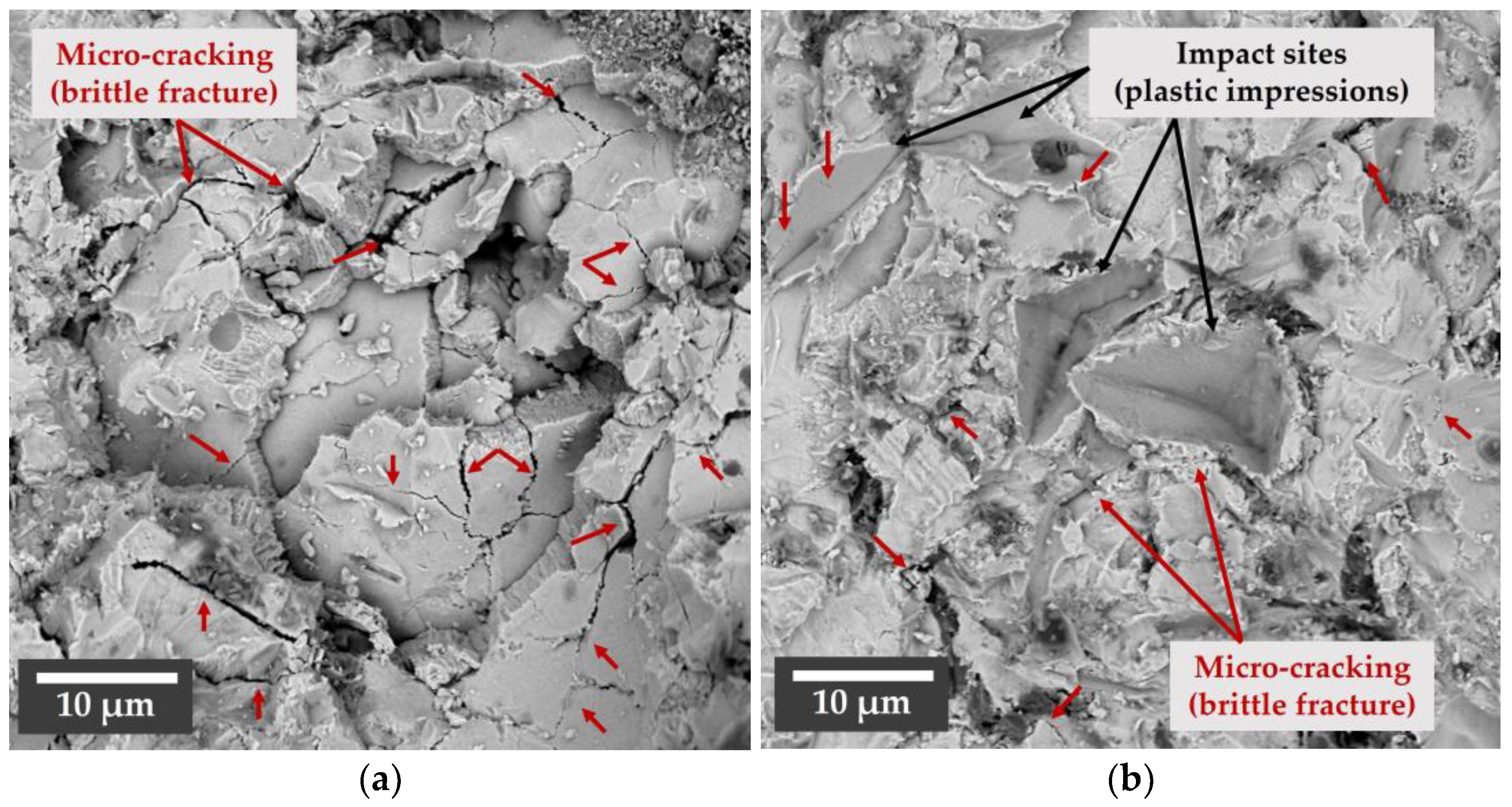 Coatings 13 00902 g012