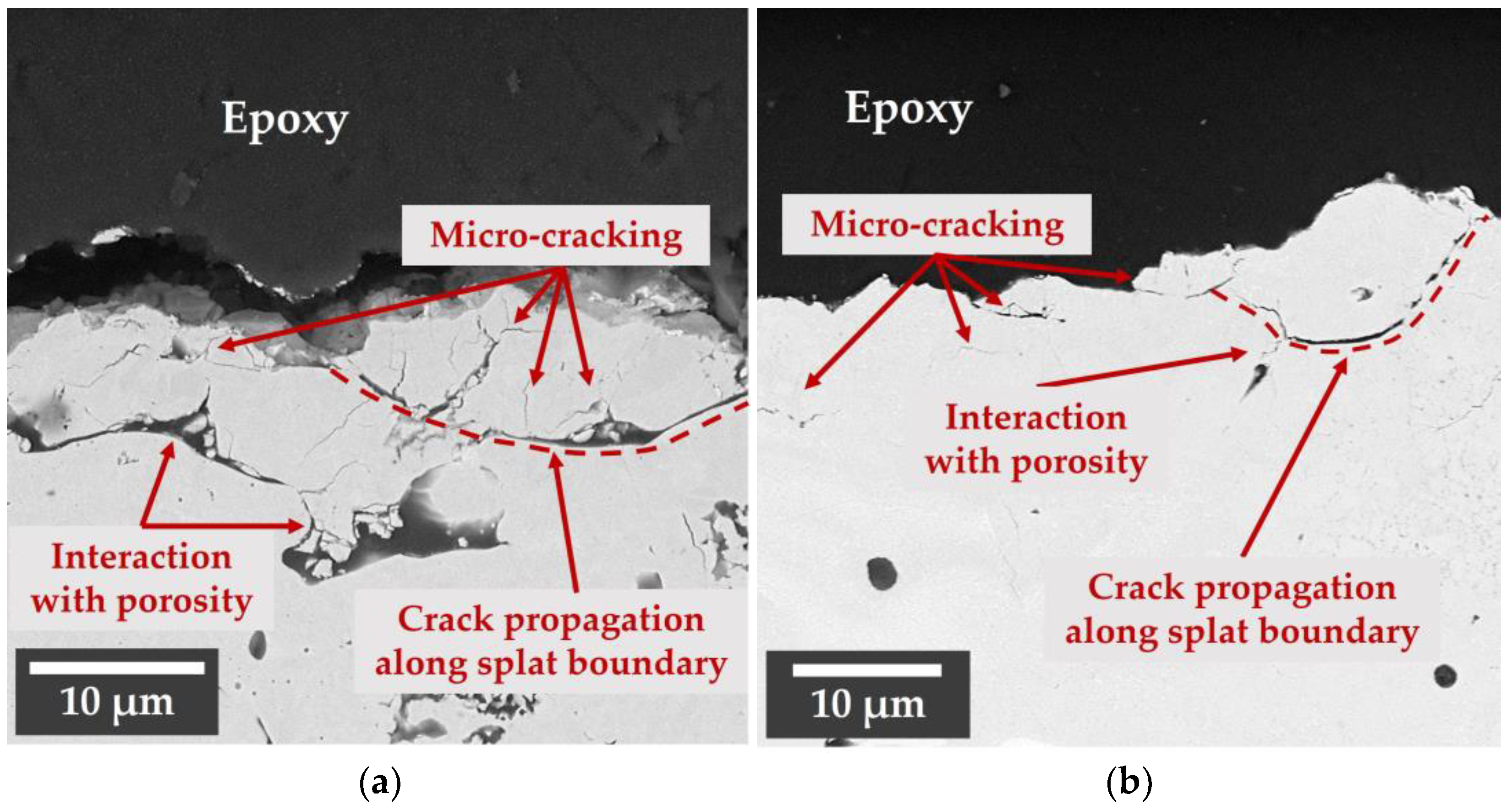 Coatings 13 00902 g013