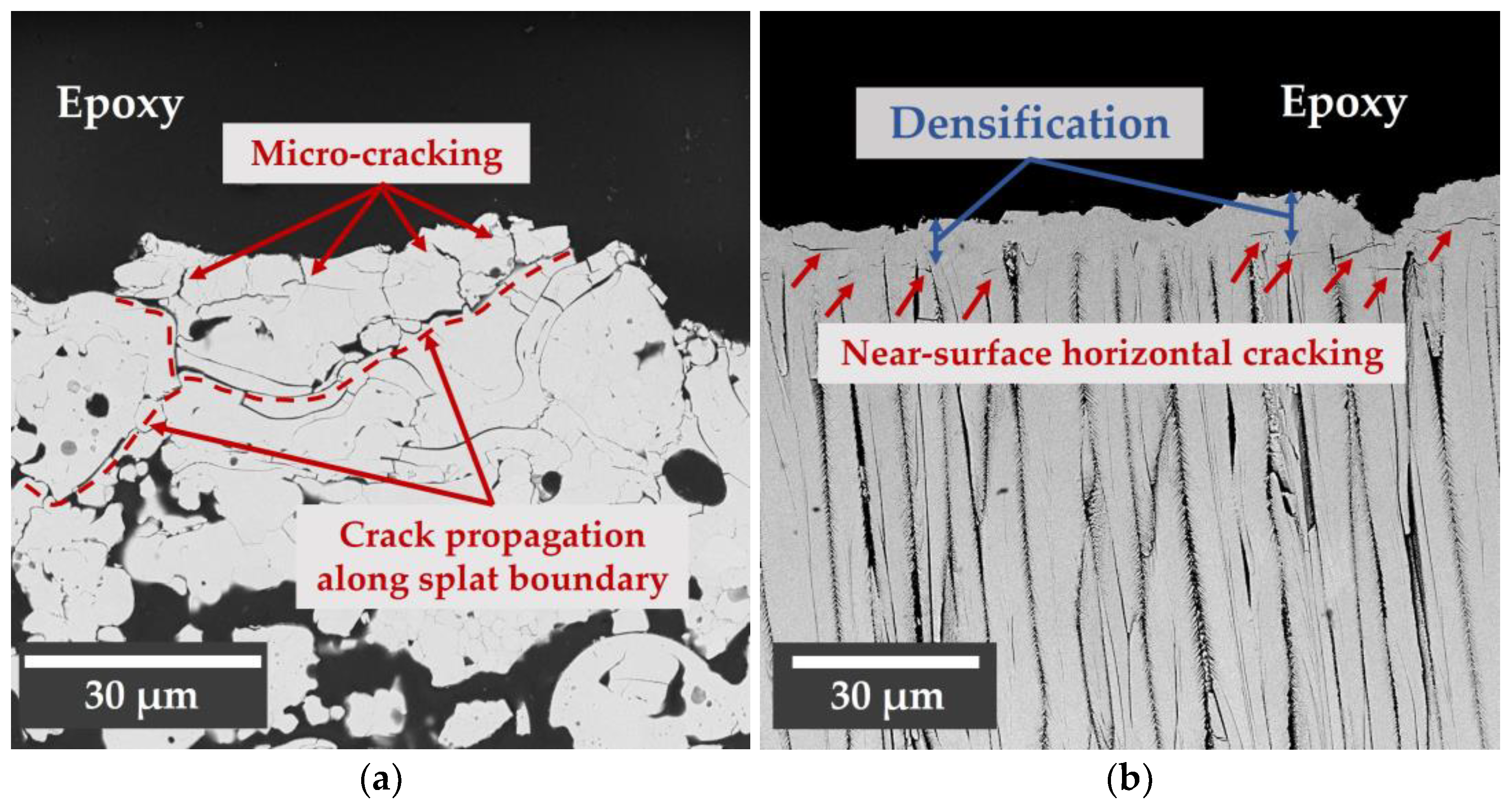 Coatings 13 00902 g014