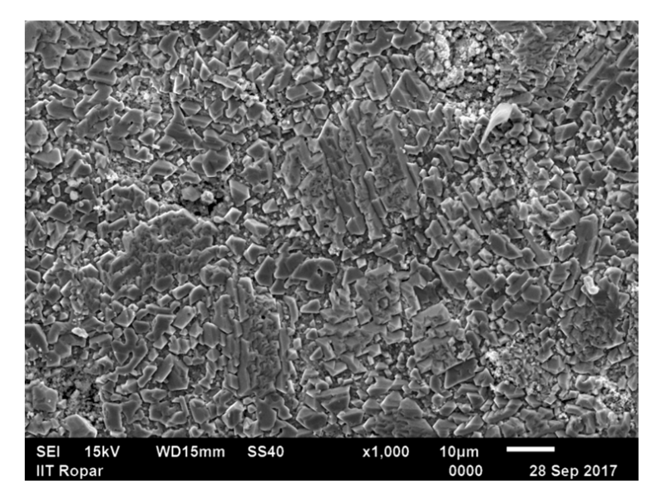Coatings 13 00904 g015