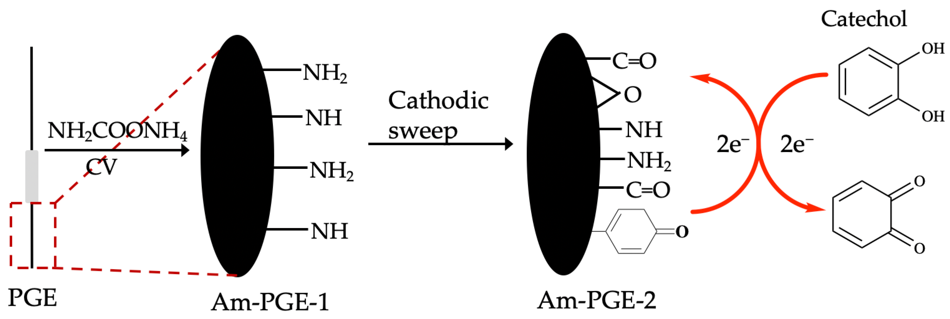 Coatings 13 00913 sch001