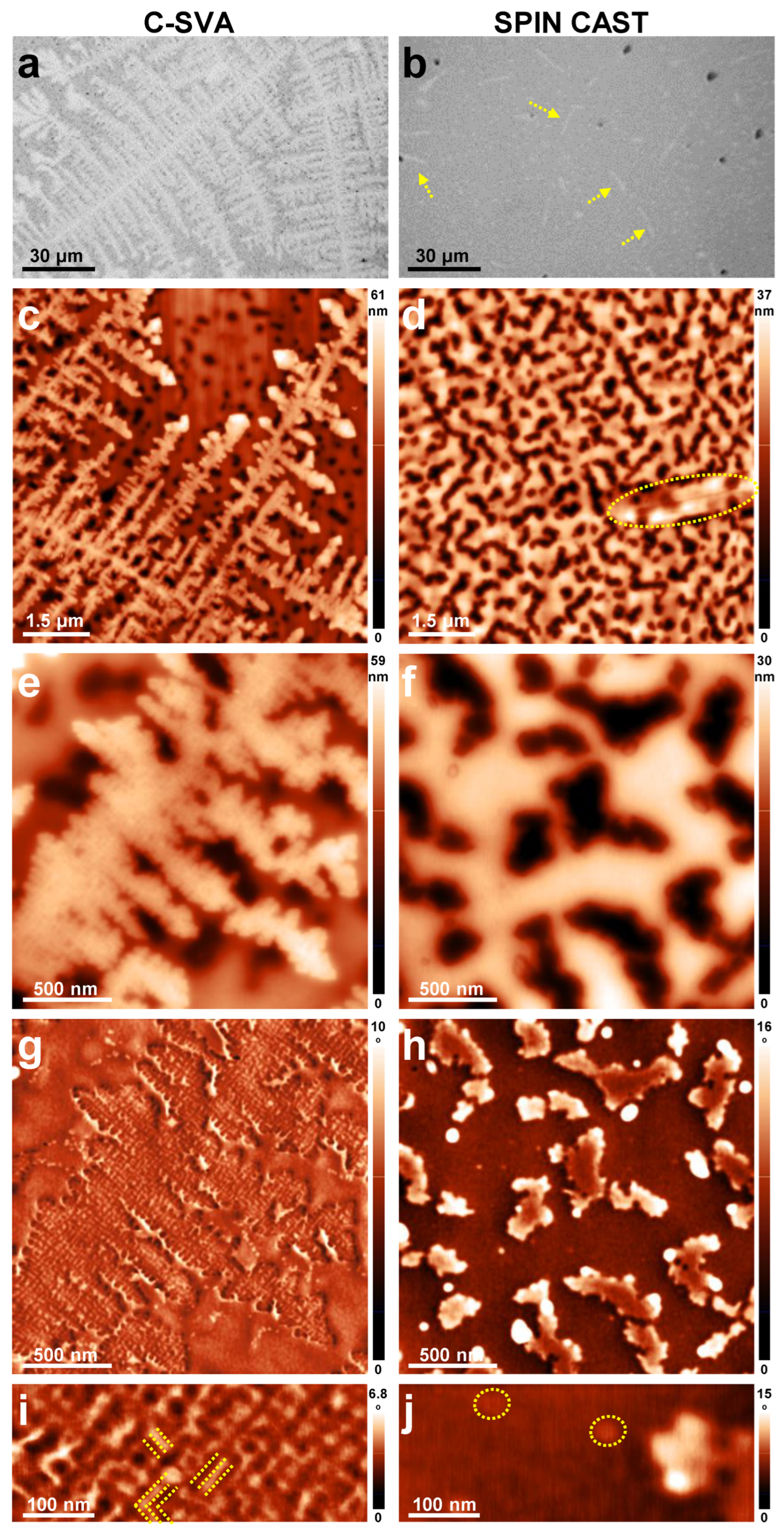Coatings 13 00918 g003