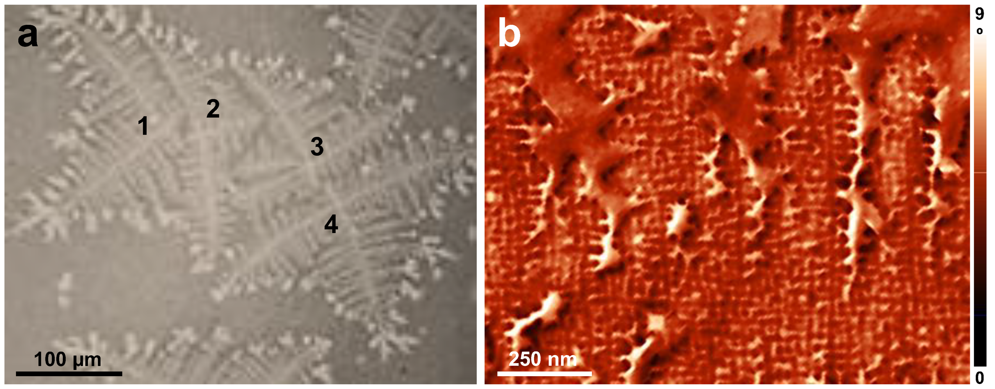 Coatings 13 00918 g004