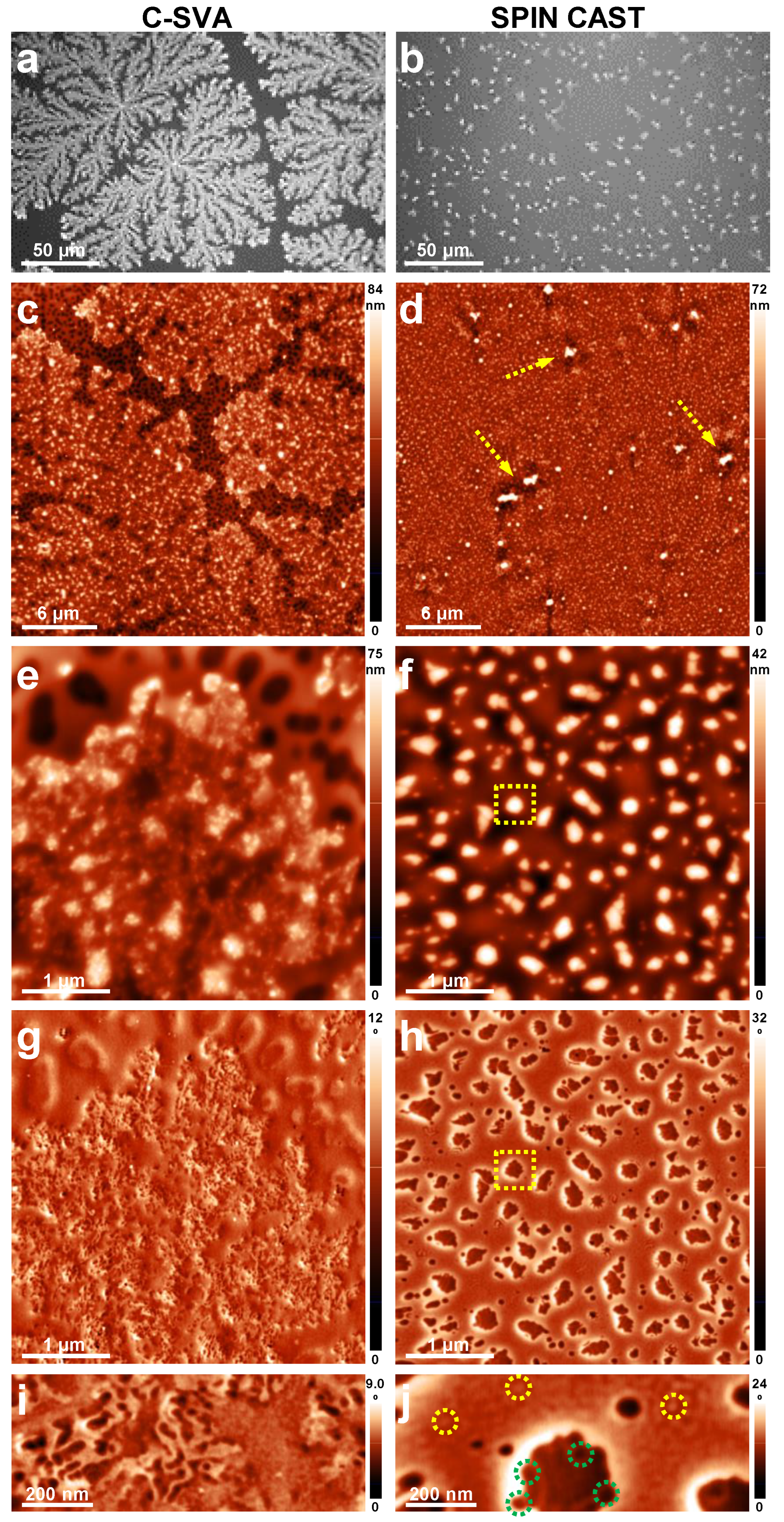 Coatings 13 00918 g005