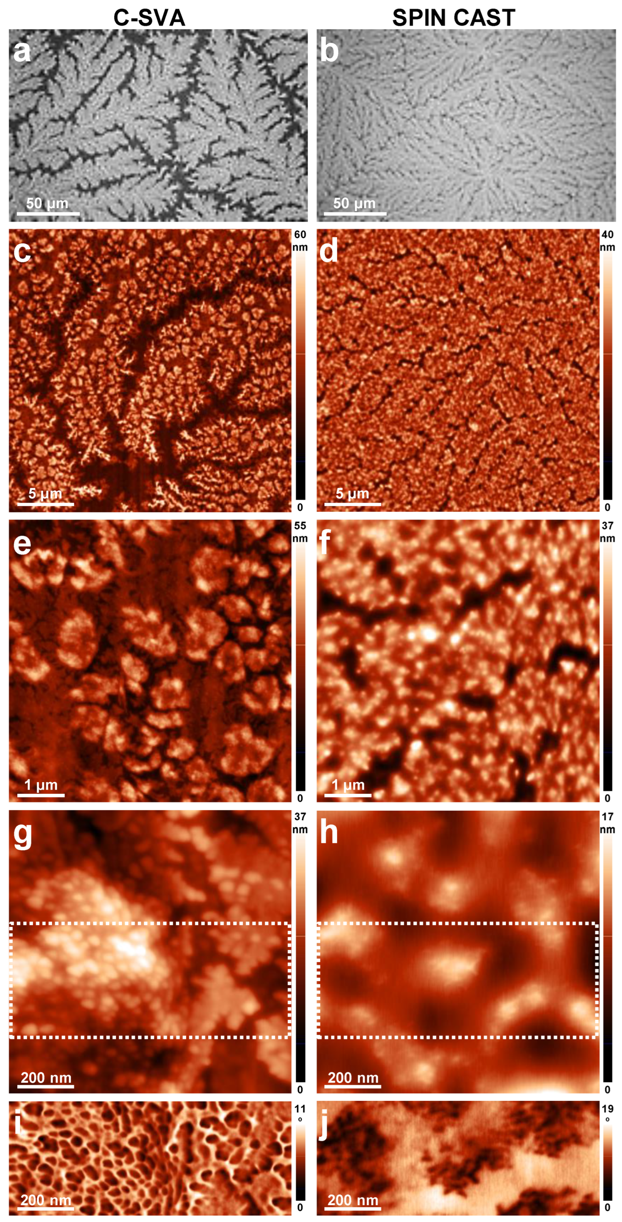 Coatings 13 00918 g006