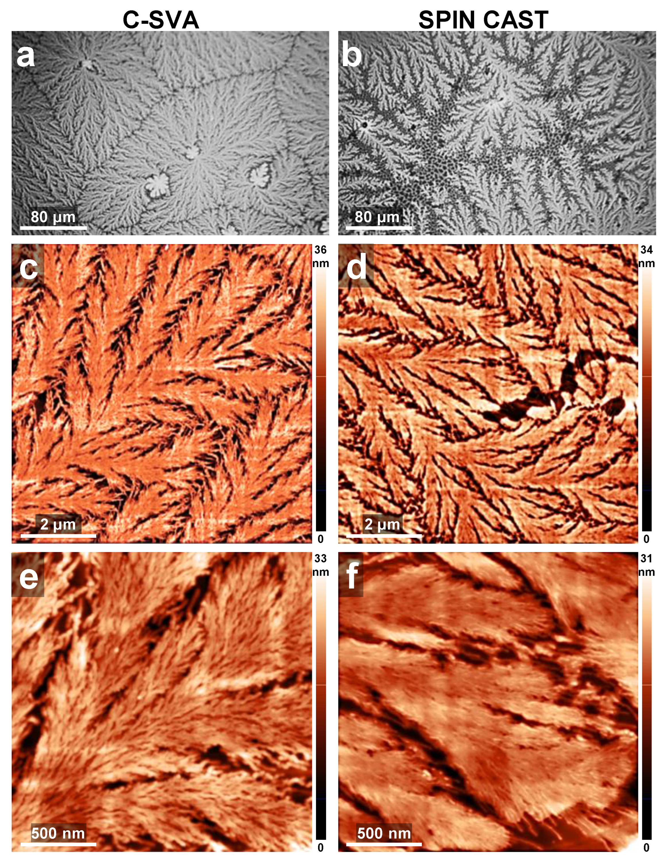 Coatings 13 00918 g007a