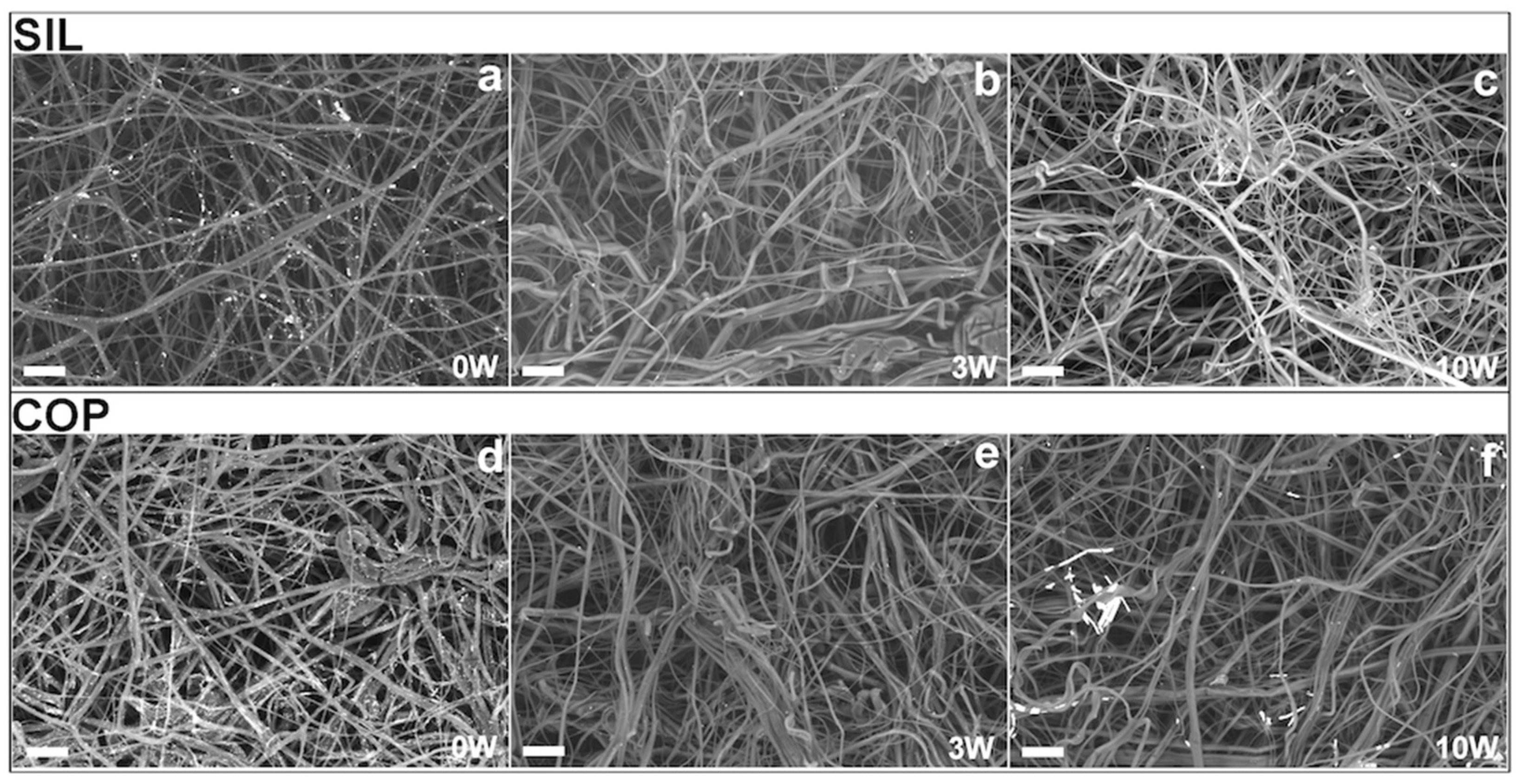 Coatings 13 00919 g001