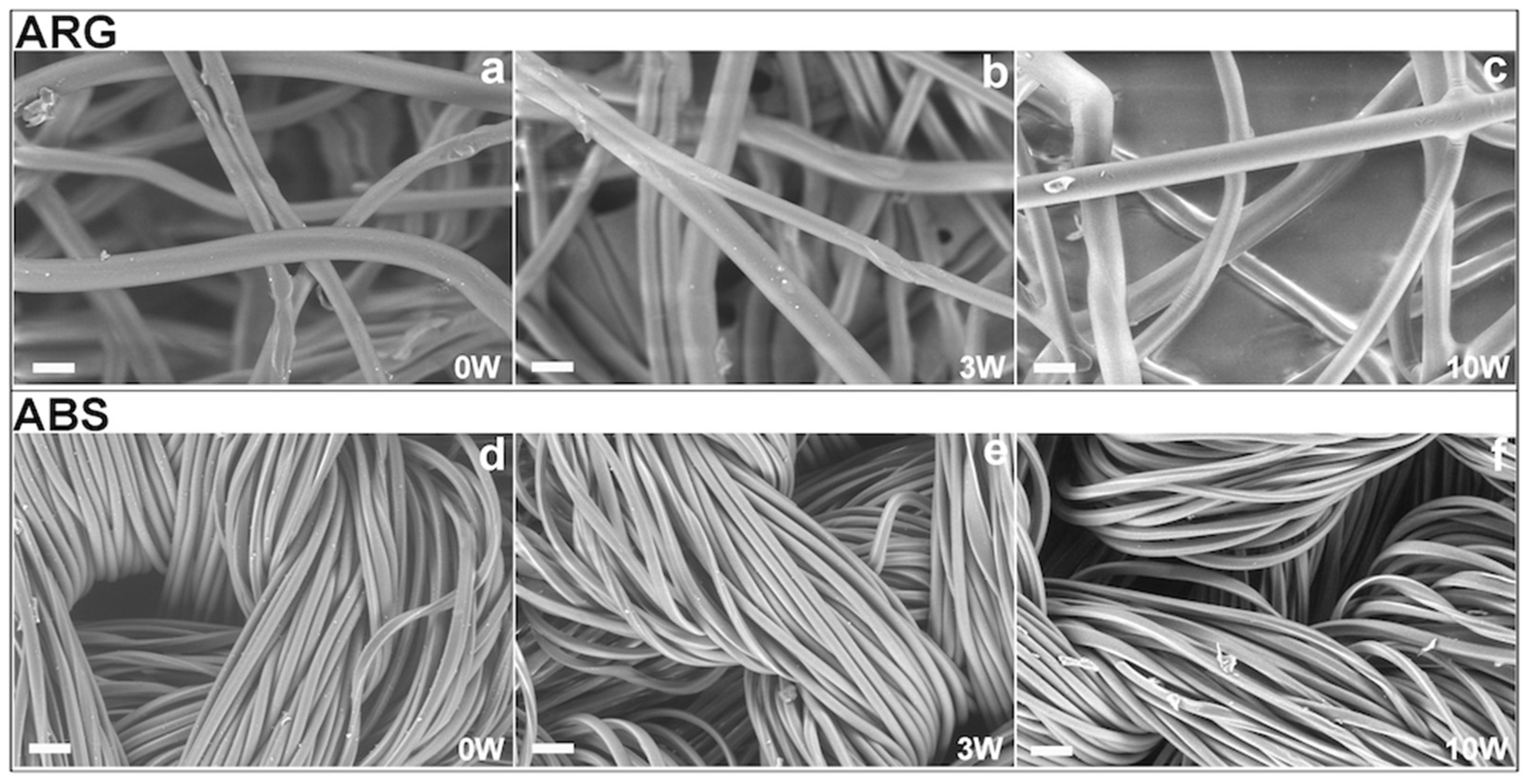 Coatings 13 00919 g002