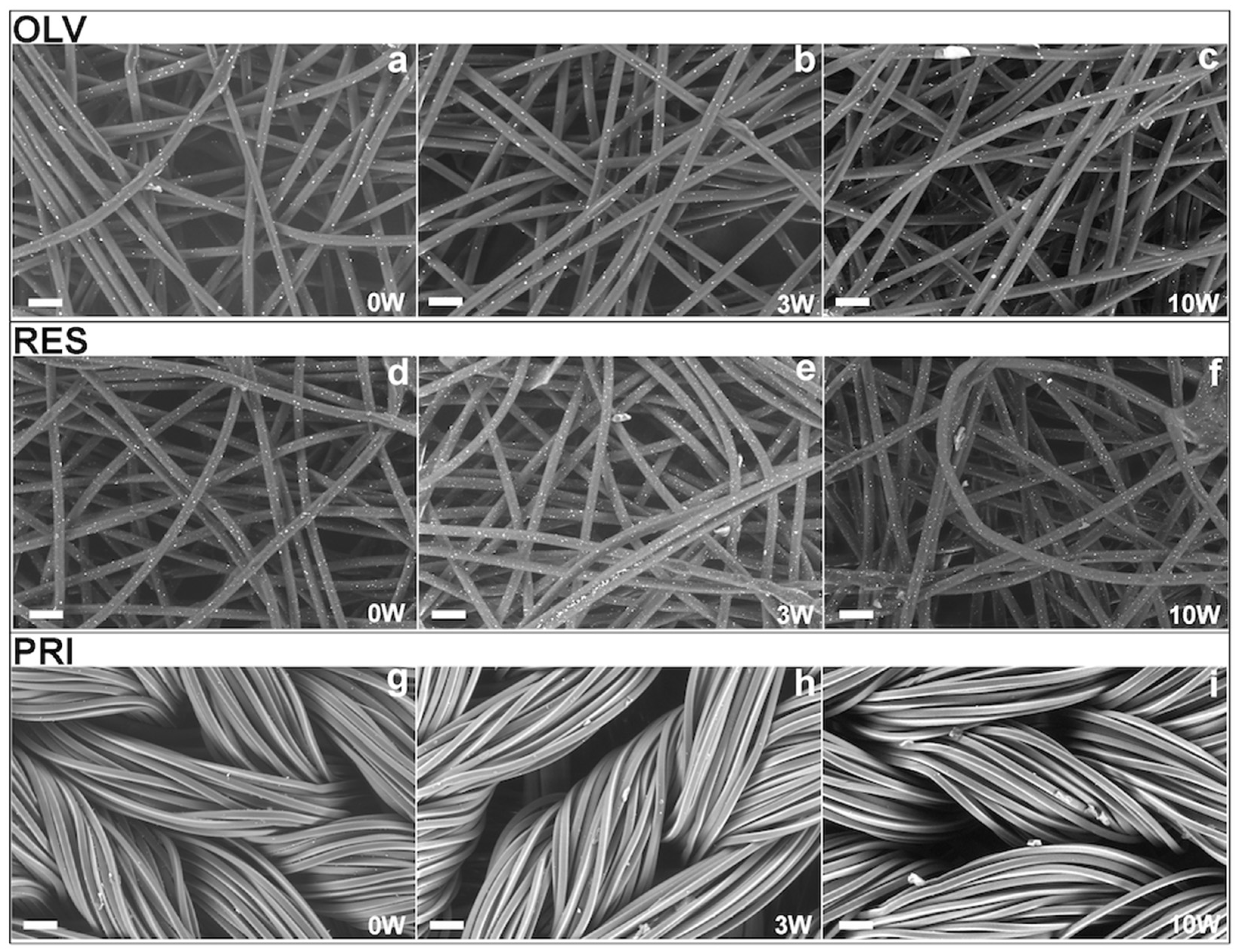 Coatings 13 00919 g003