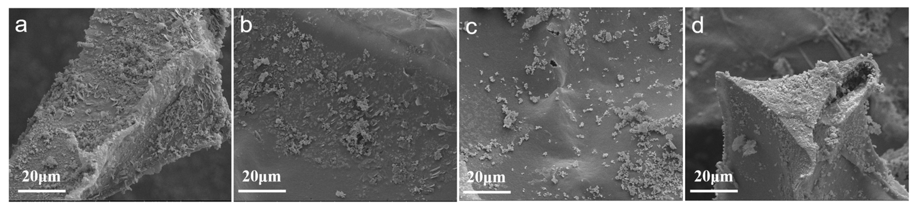 Coatings 13 00925 g002