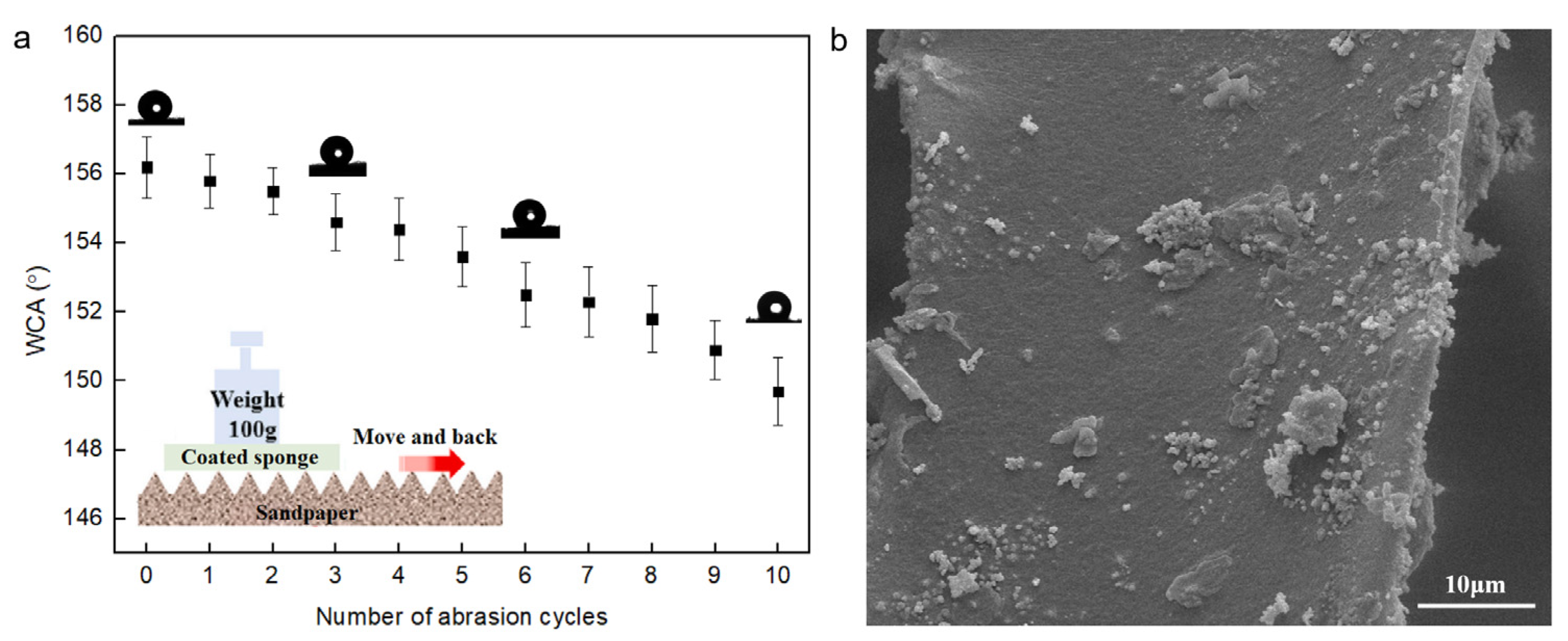 Coatings 13 00925 g008a