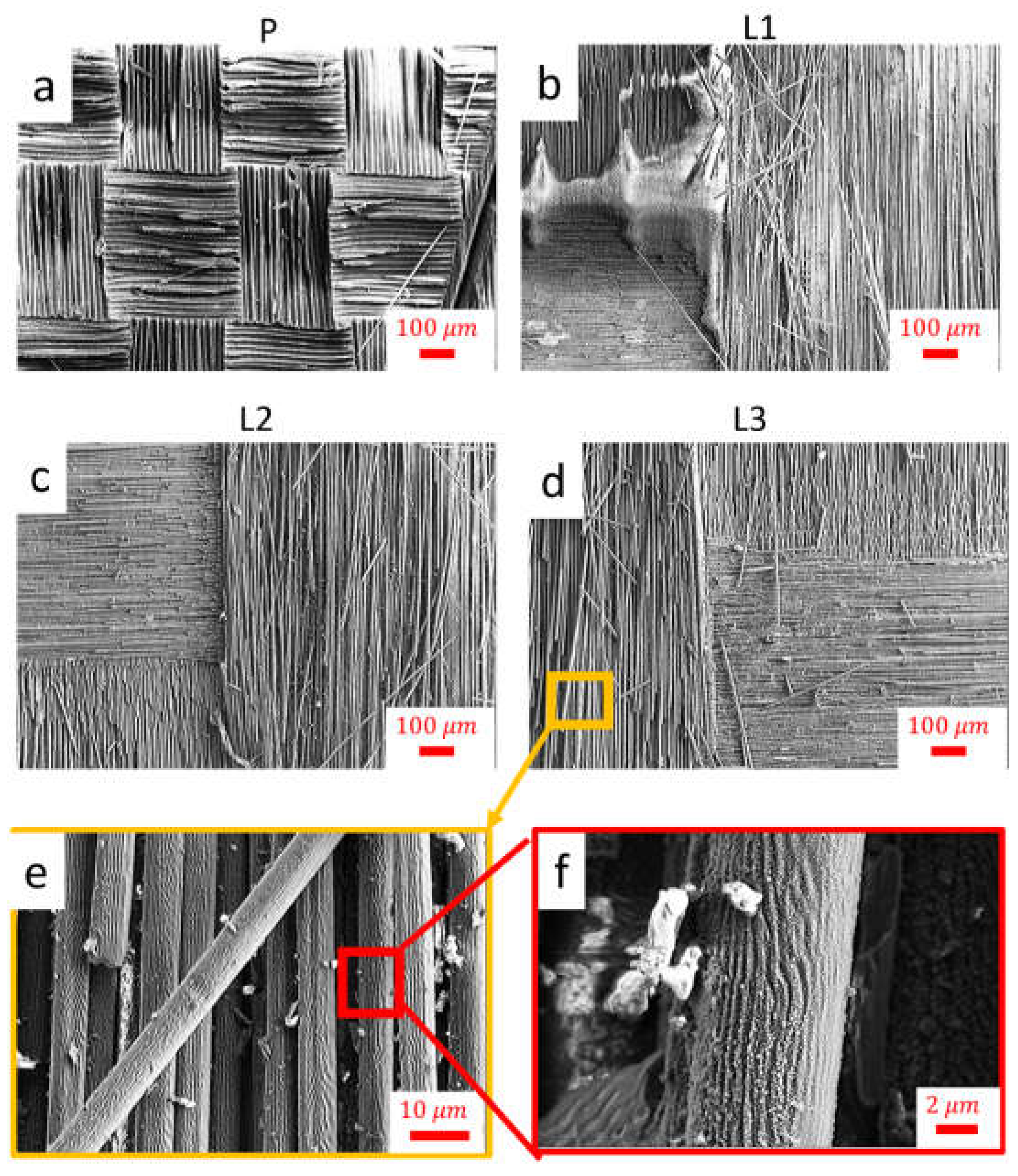Coatings 13 00928 g004