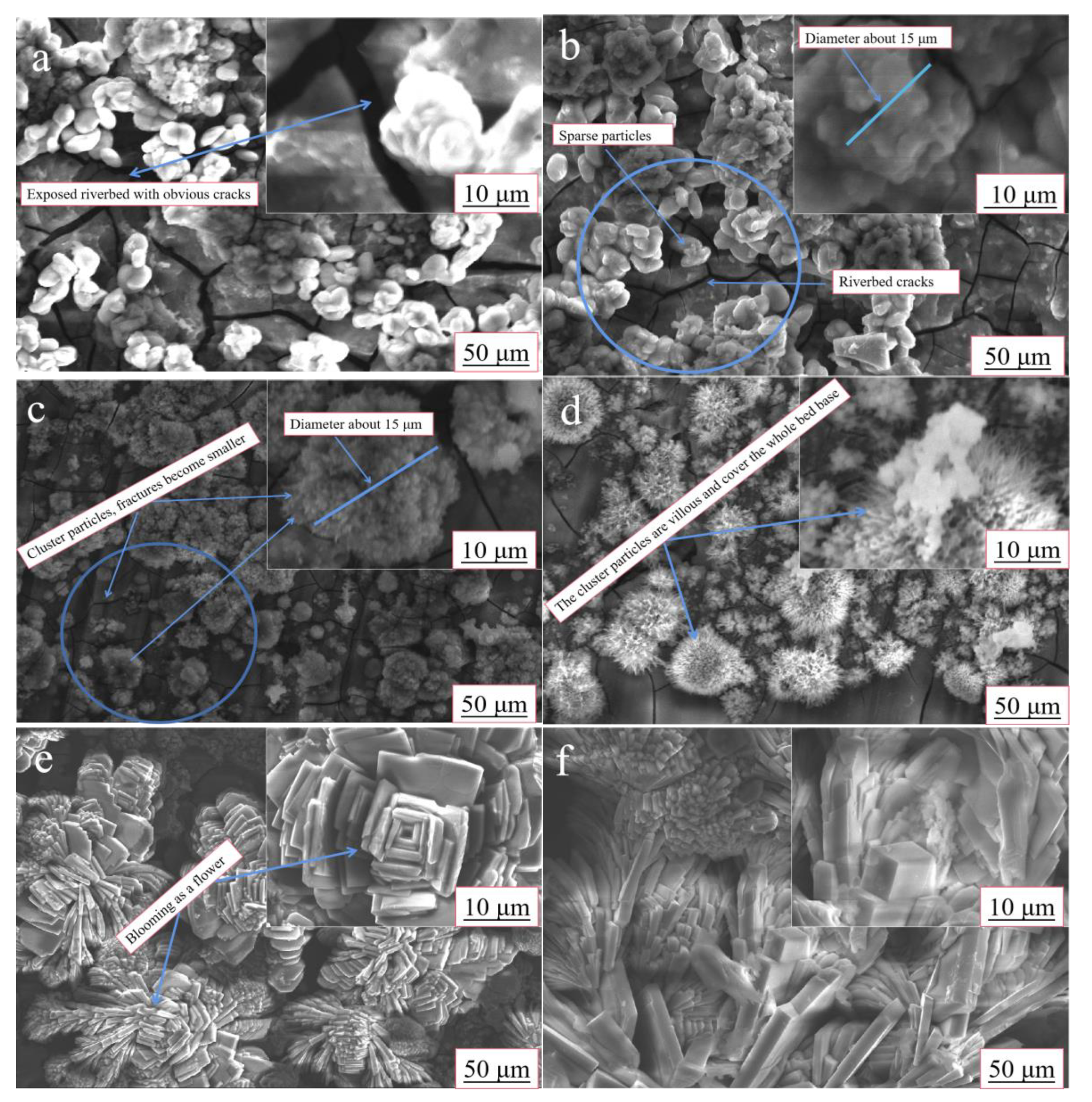 Coatings 13 00929 g003