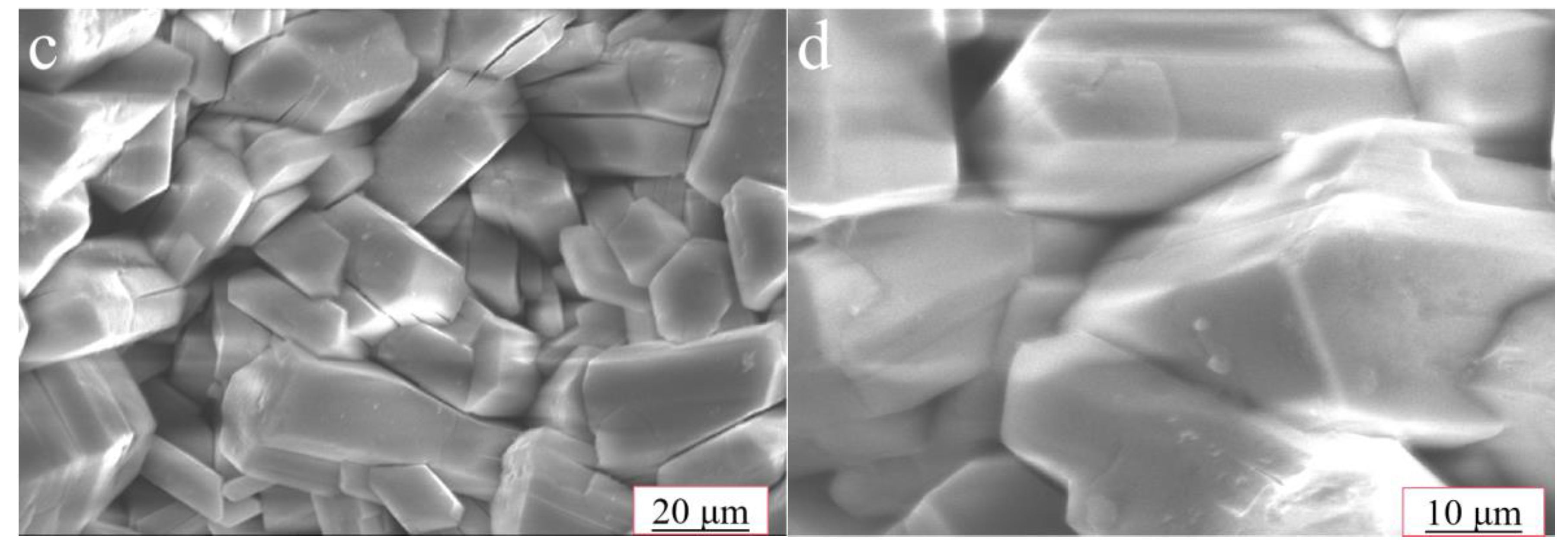 Coatings 13 00929 g007b