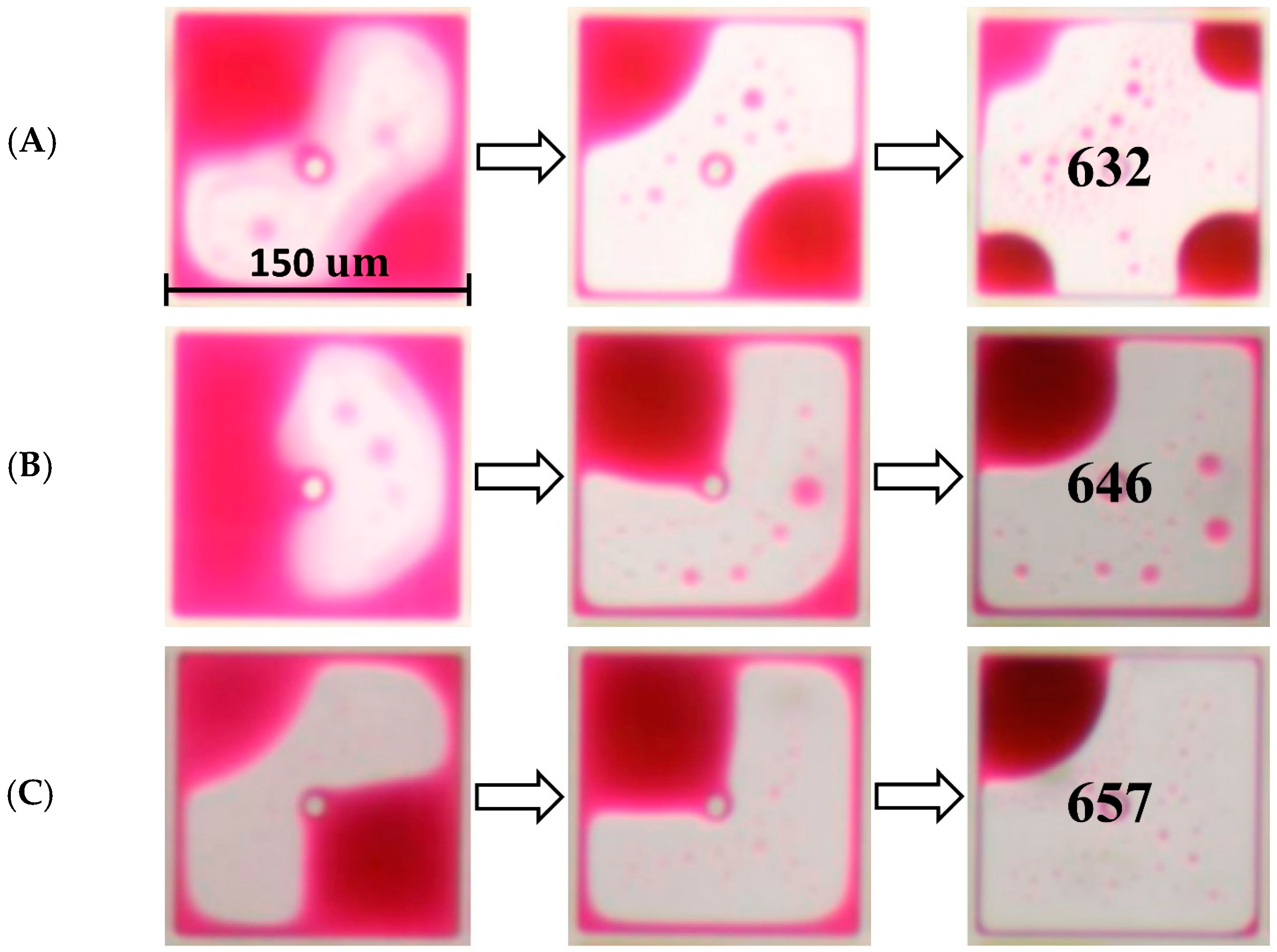 Coatings 13 00935 g011