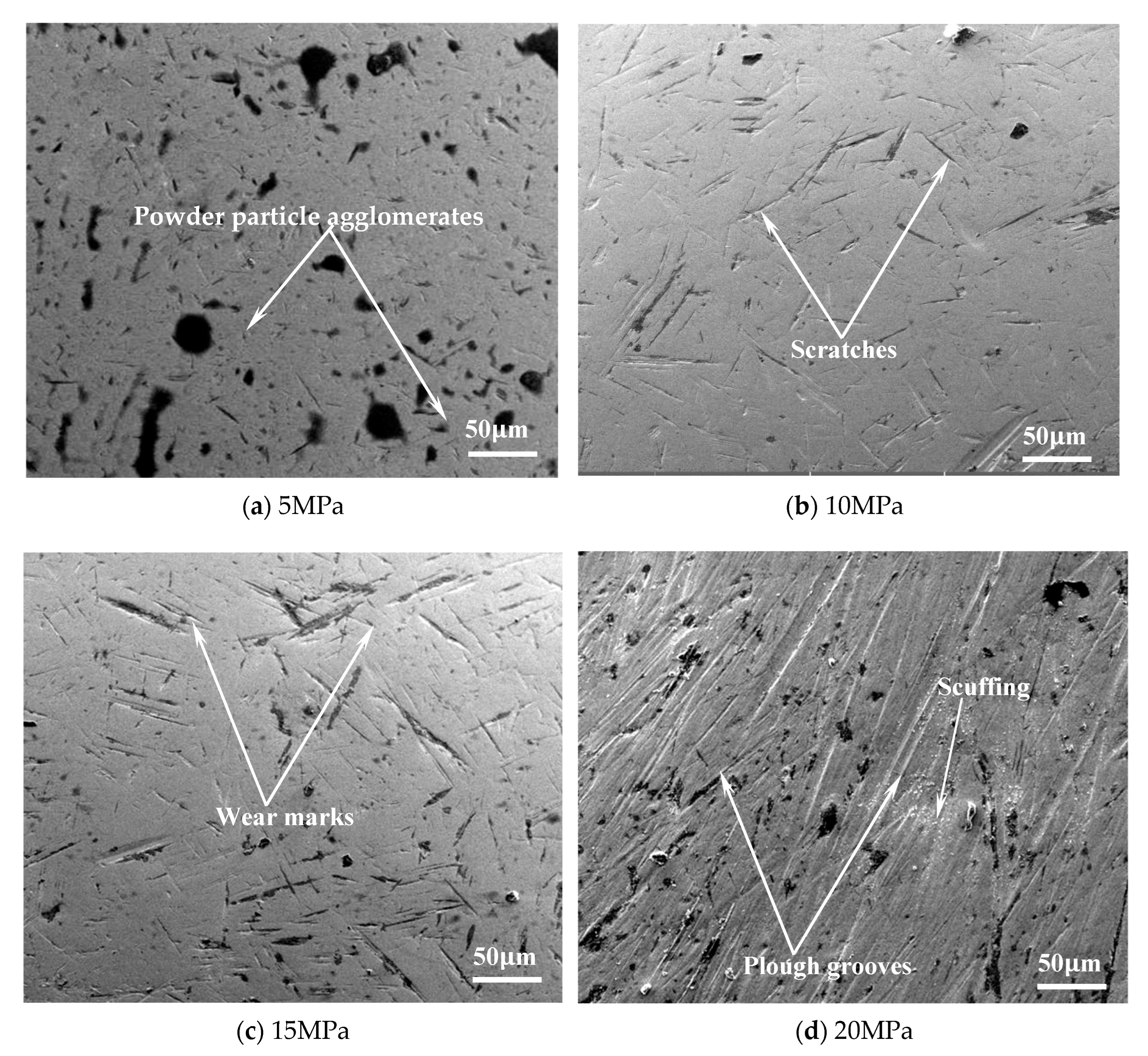 Coatings 13 00939 g004