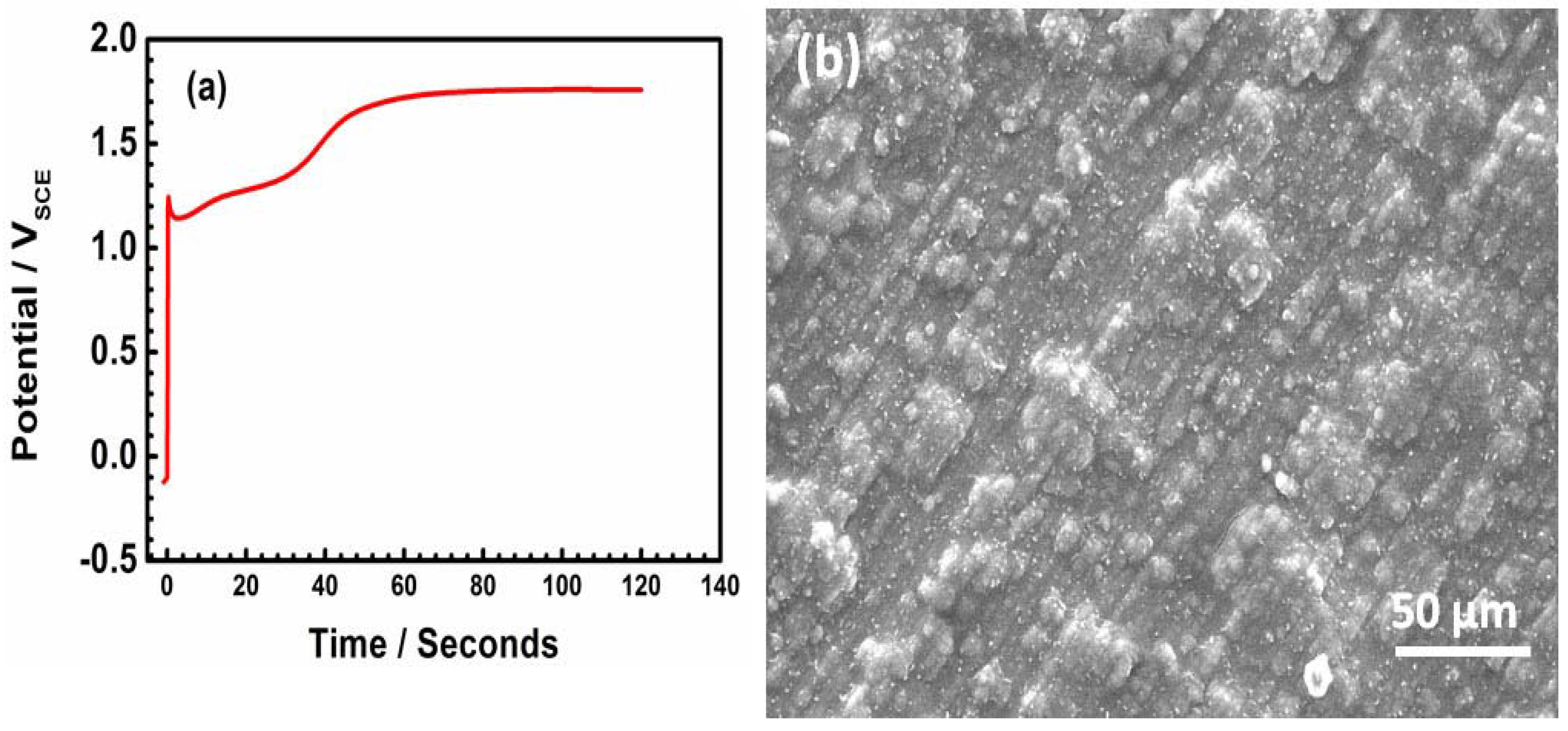 Coatings 13 00944 g002