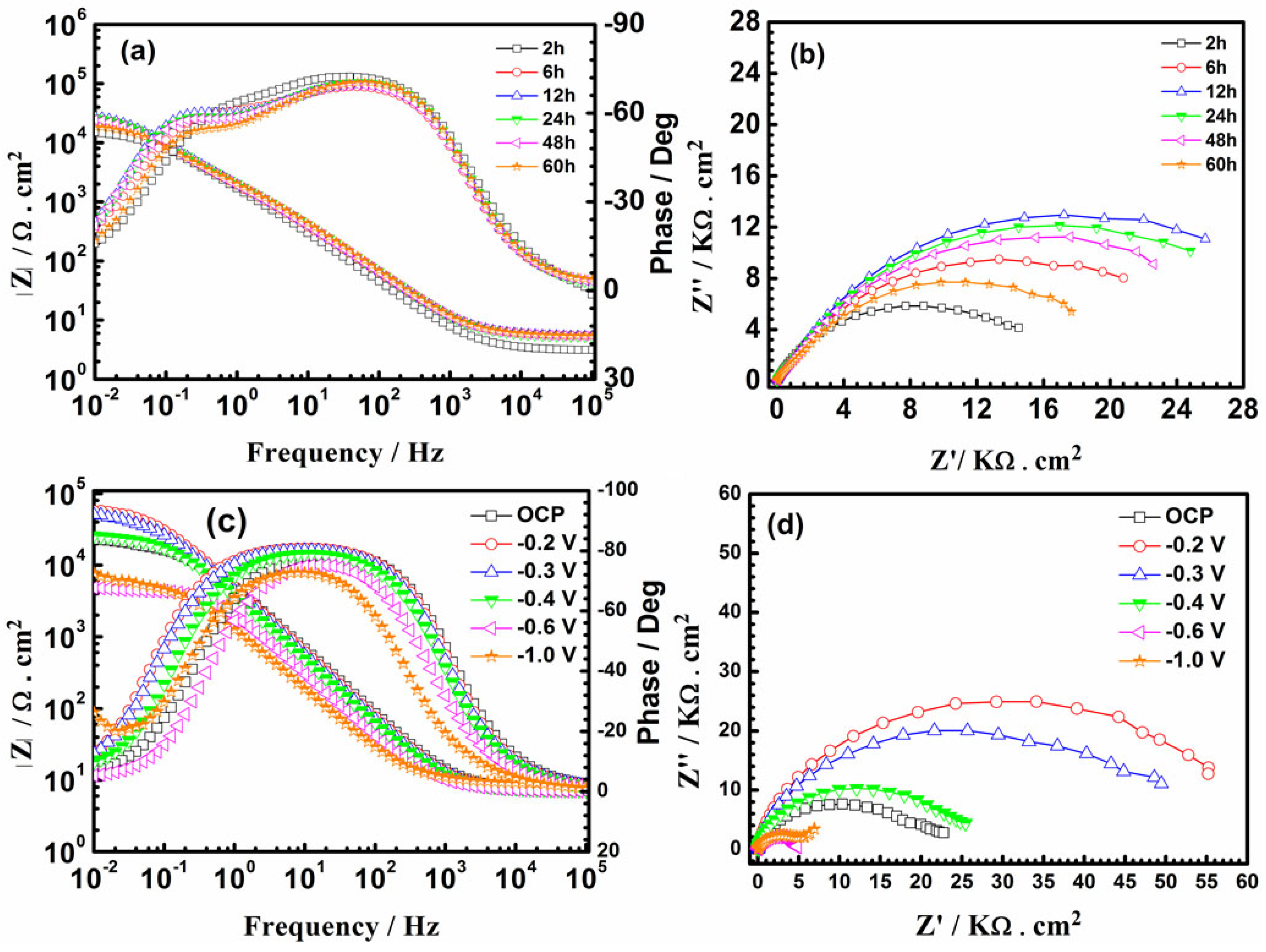 Coatings 13 00944 g008