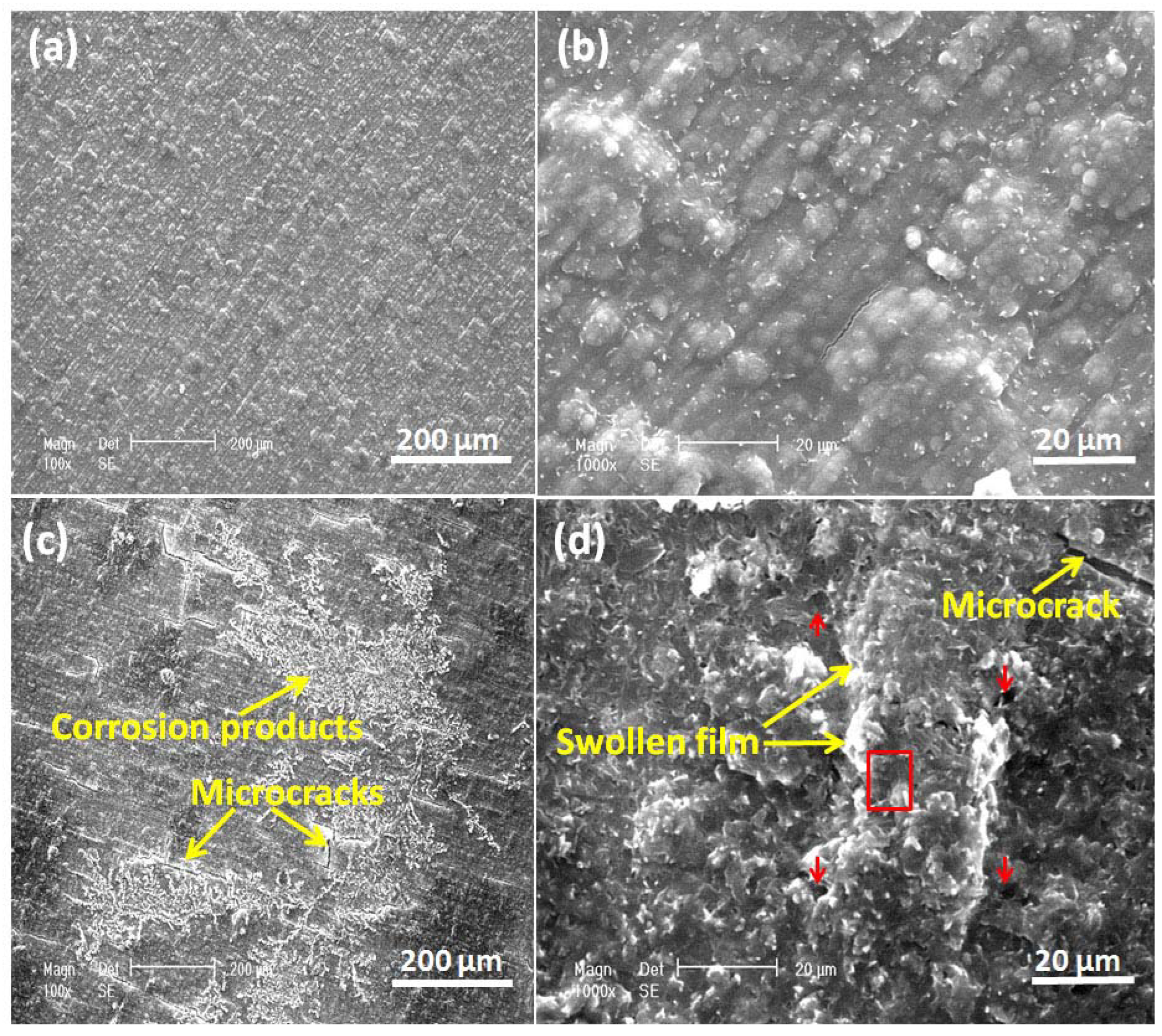 Coatings 13 00944 g012