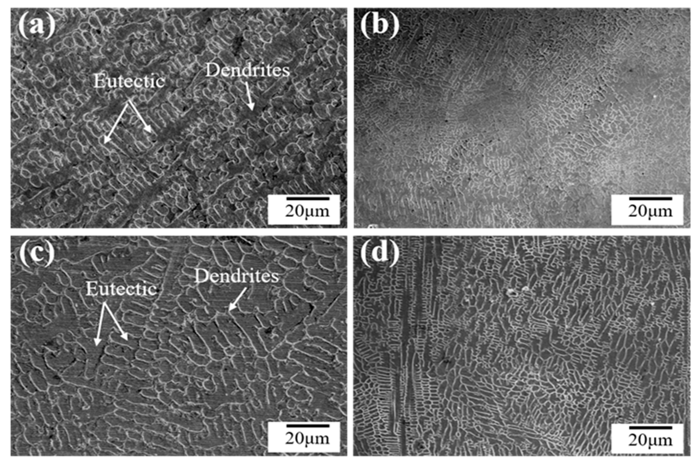 Coatings 13 00949 g007