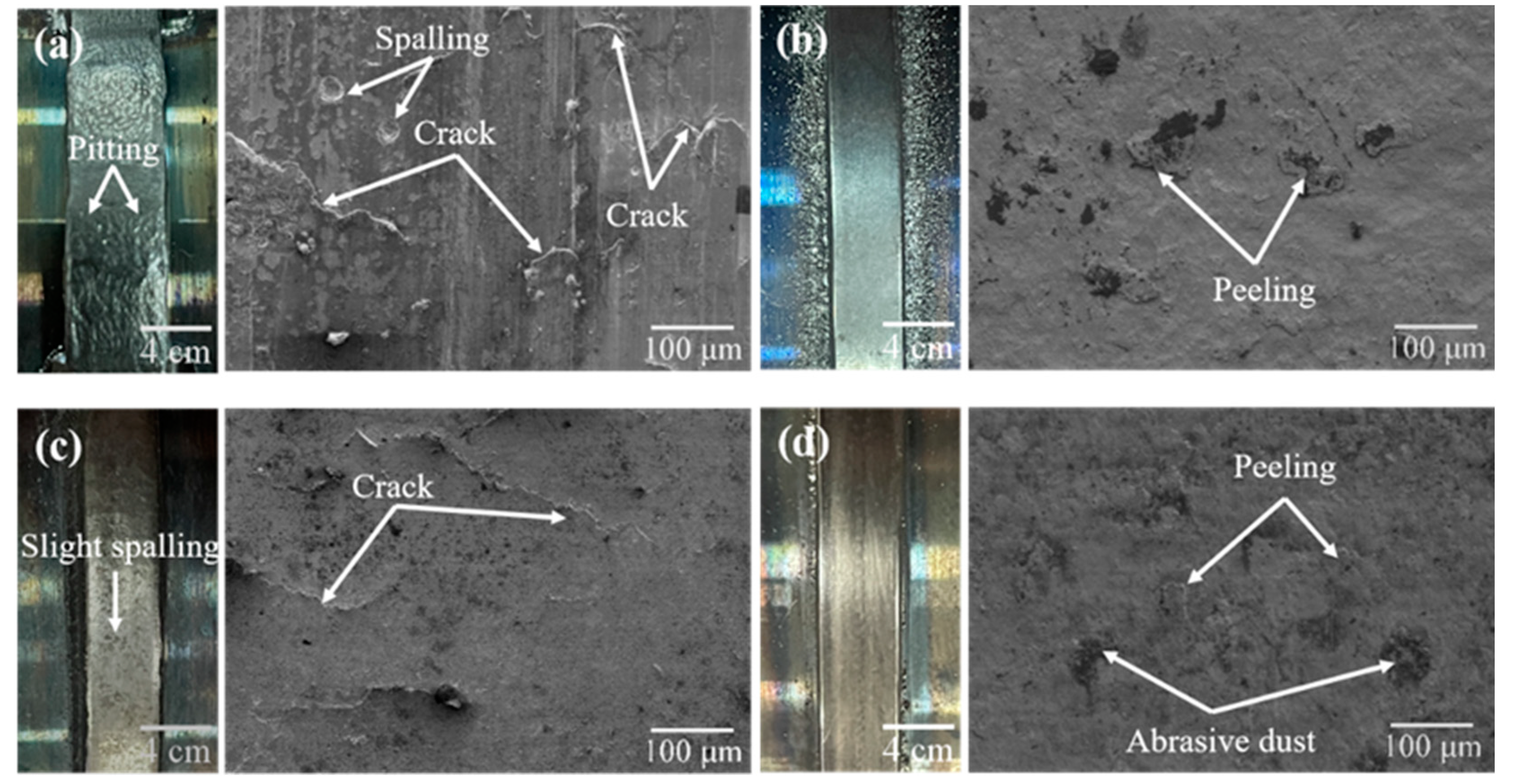 Coatings 13 00949 g012