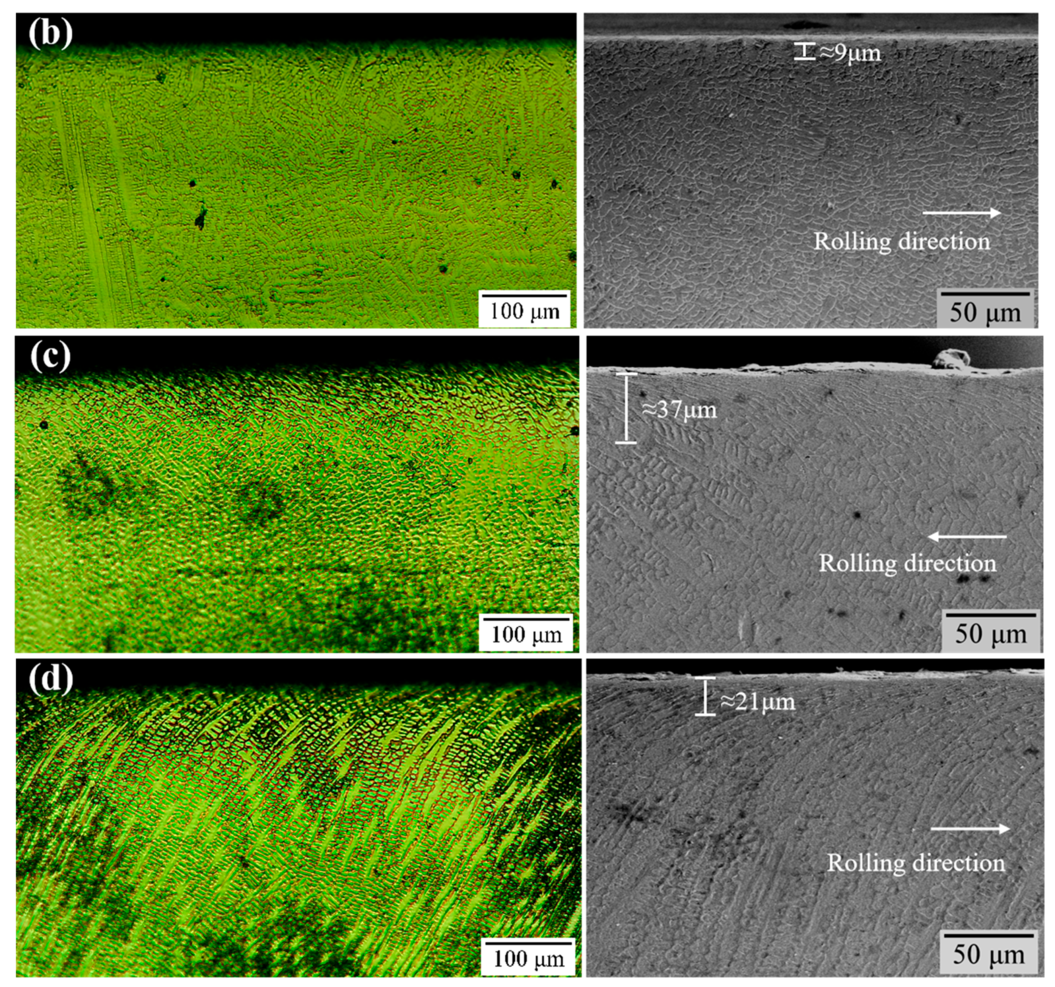 Coatings 13 00949 g013b