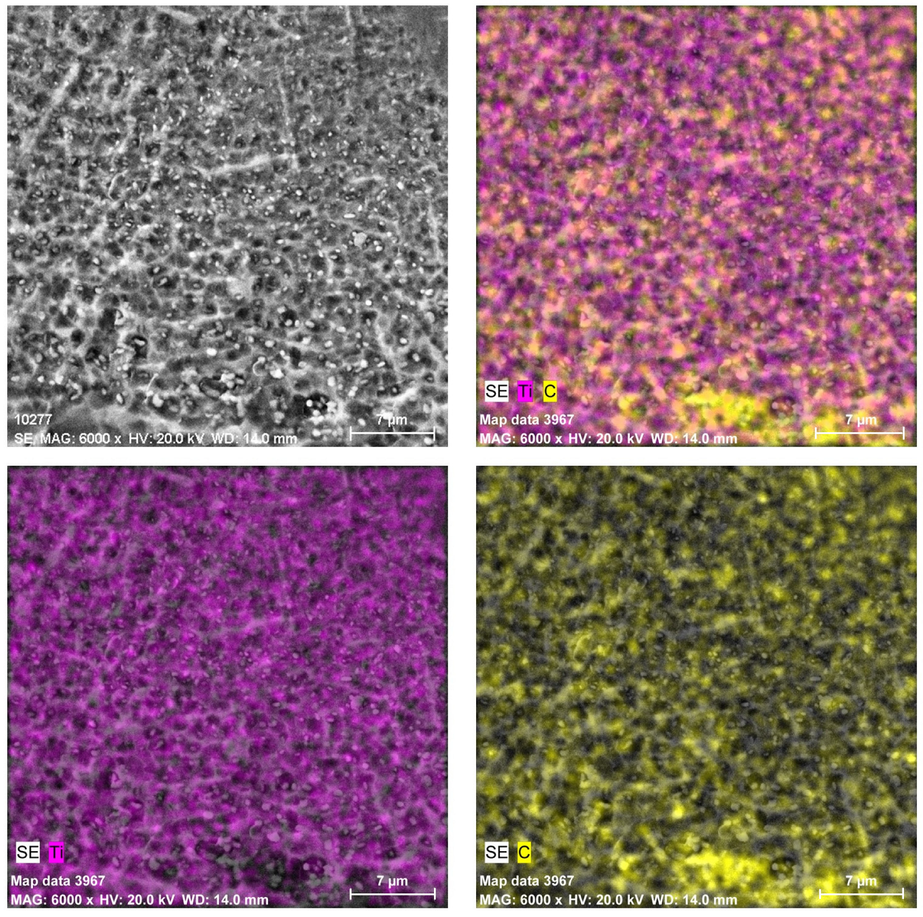 Coatings 13 00951 g005