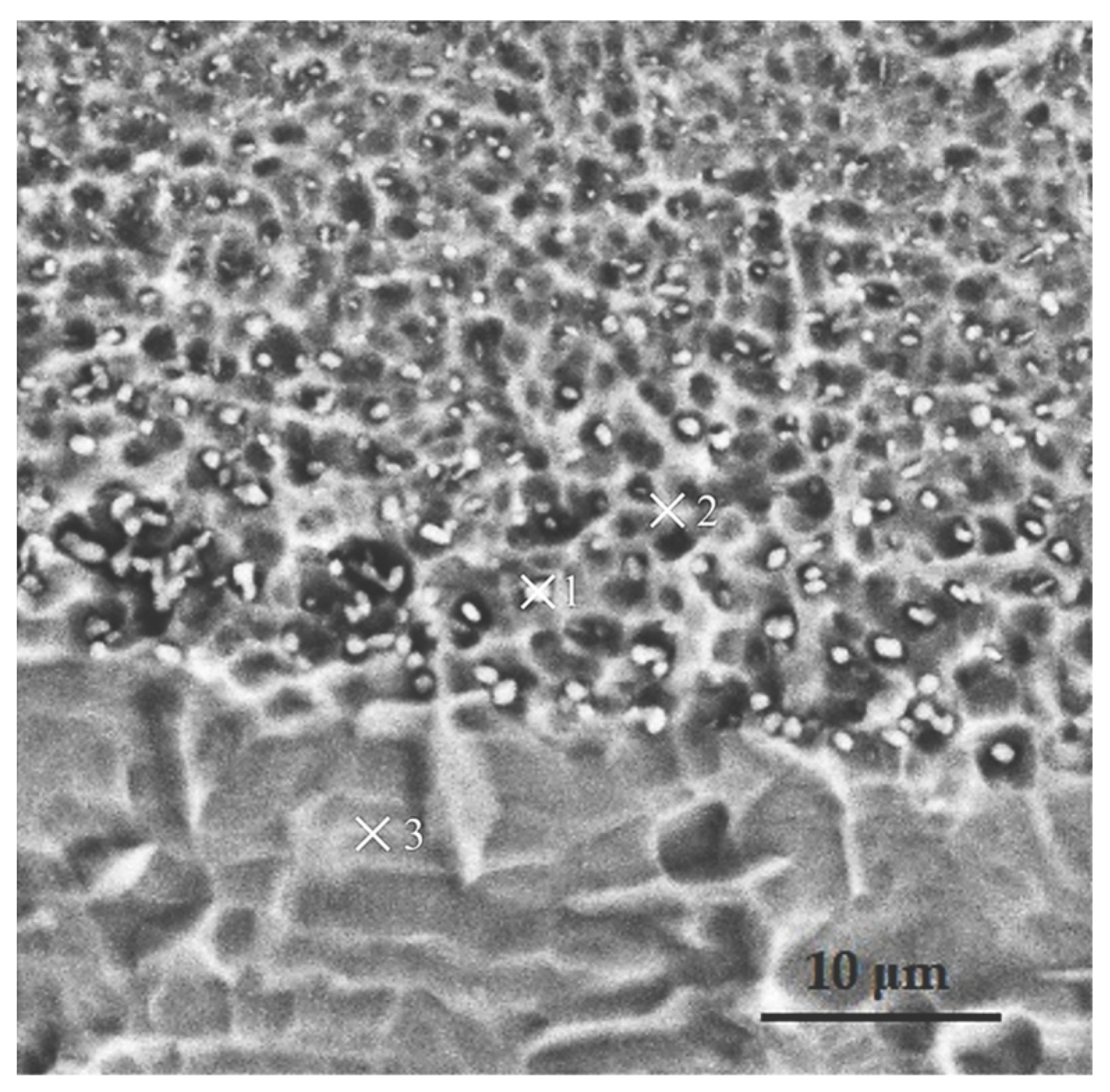 Coatings 13 00951 g006