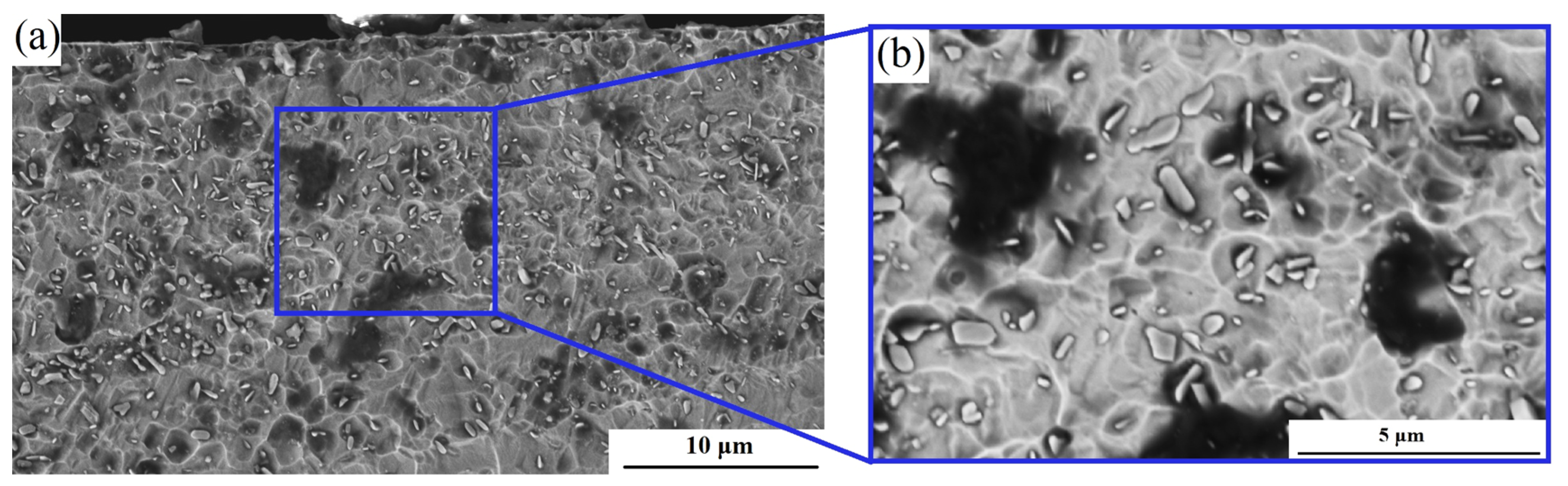 Coatings 13 00951 g007